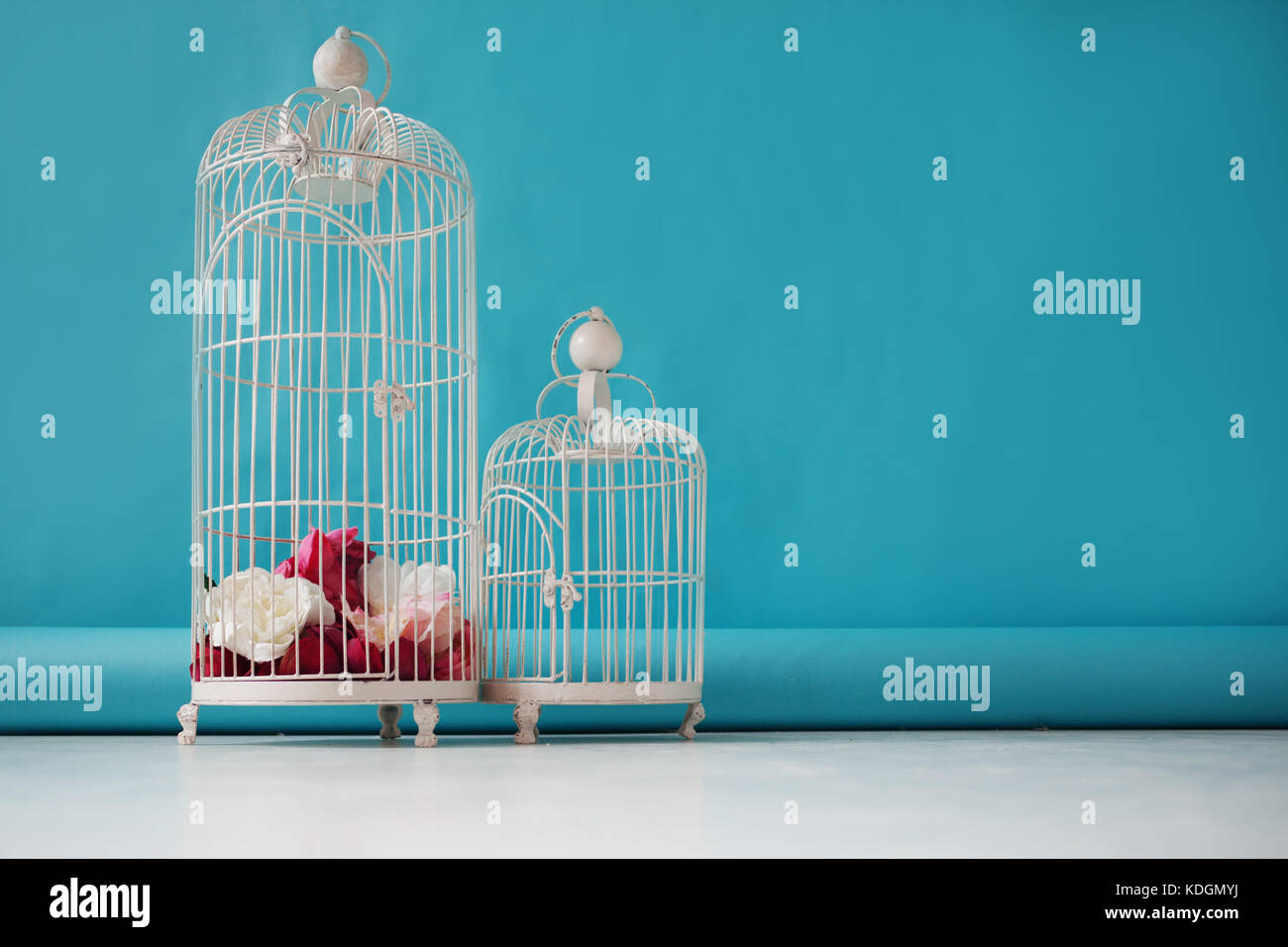 Two beautiful empty birdcages on a blue background, the floral decor. Stock Photo