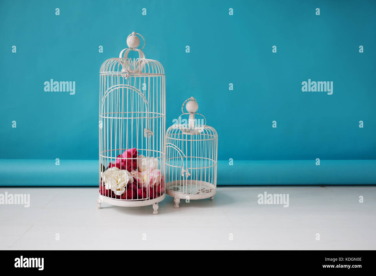 Two beautiful empty birdcages on a blue background, the floral decor. Stock Photo