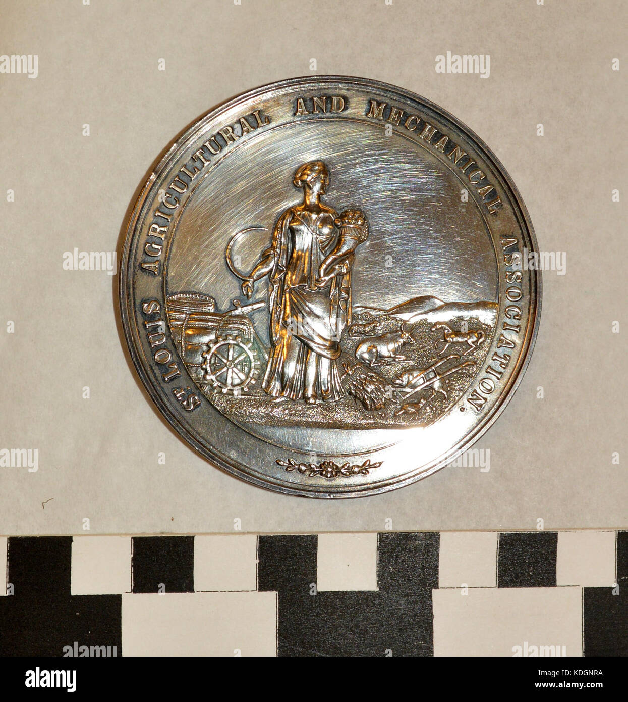 Medal awarded to Julius S. Walsh for best machine for removing snow Stock Photo