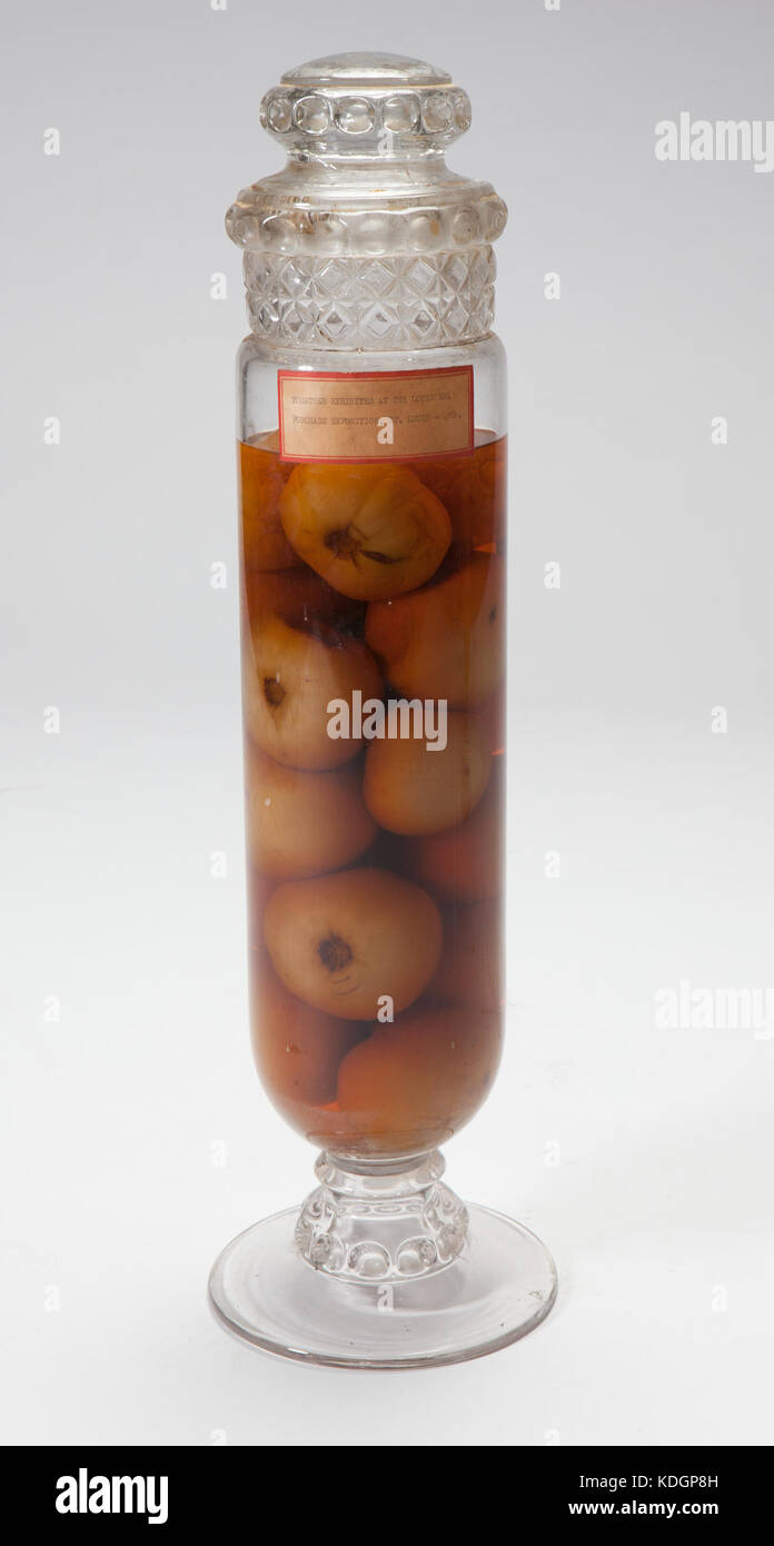 Large Display Canister of Preserved Tomatoes from the 1904 World's Fair