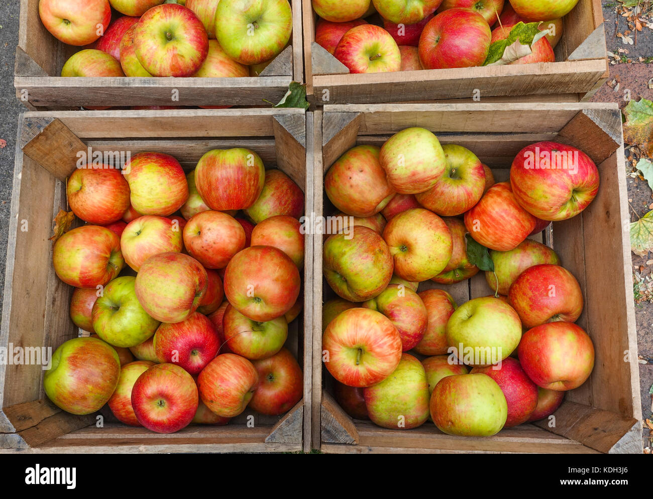 Apples, Goldrenette, Reinette, in wooden box on farmers market. Stock Photo