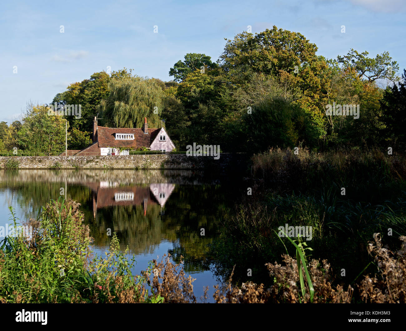 South Pond, Midhurst, West Sussex, England UK Stock Photo
