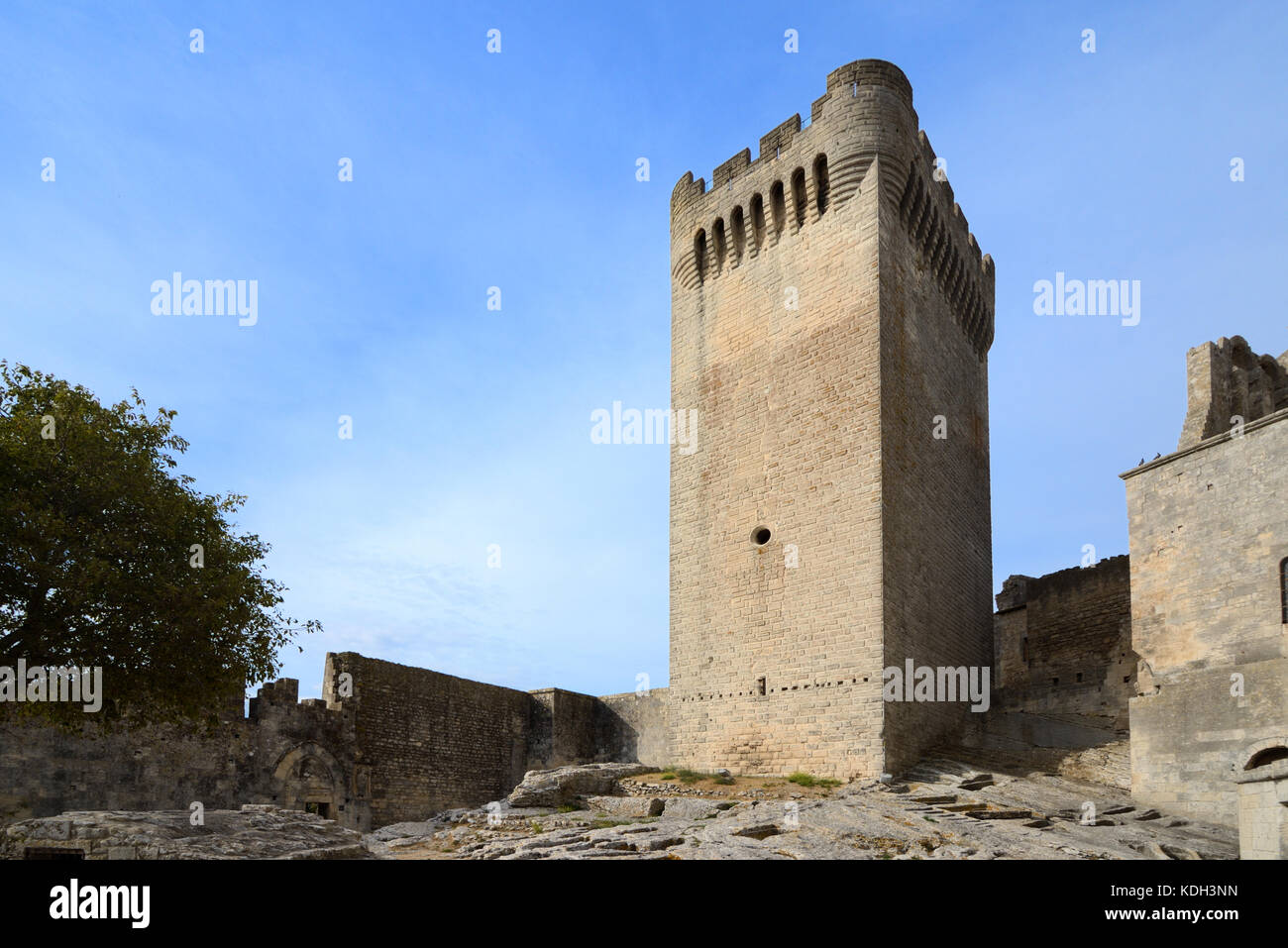 Medieval Tower of Abbot Pons de l'Orme (c14th) Montmajour Abbey, near Arles, Provence France Stock Photo