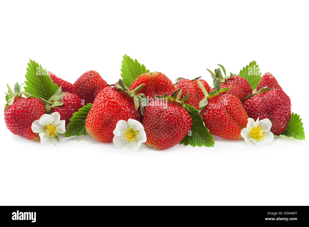 Strawberry fruit closeup isolated in white background Stock Photo - Alamy