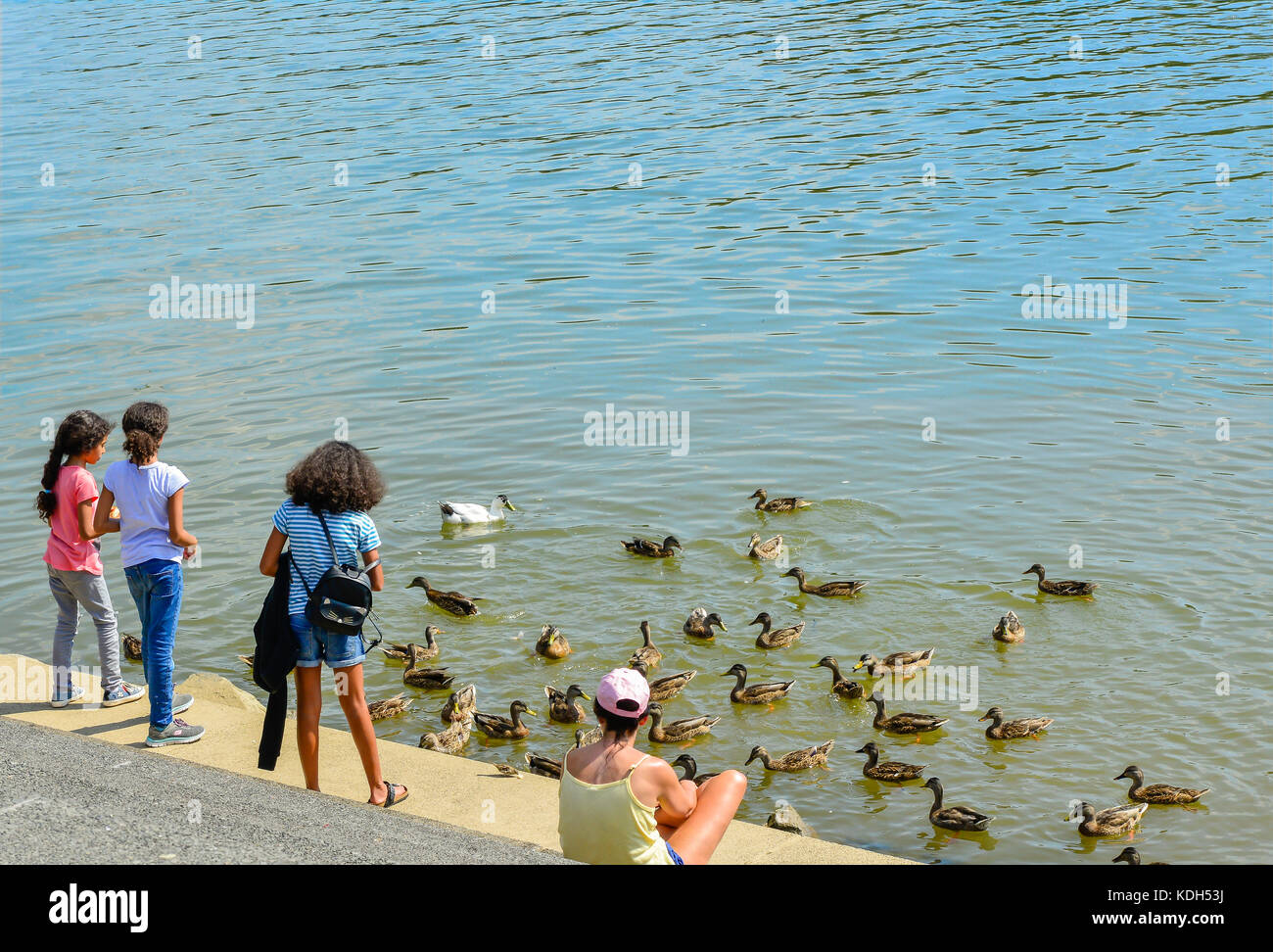 On the bank of the Potomac River, three girls of color enjoy feeding ducks while an adult woman looks on near Washington Harbor in Georgetown, Washing Stock Photo
