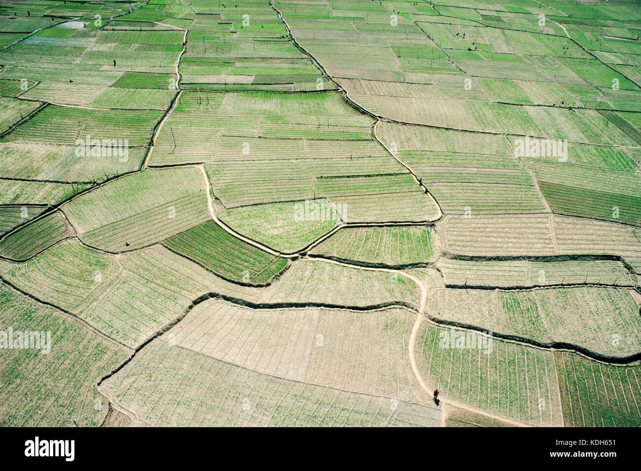 Upper Indus Valley near Skardu, Pakistan, 1990; Terraced fields make the most of fertile soil on the river banks. Stock Photo