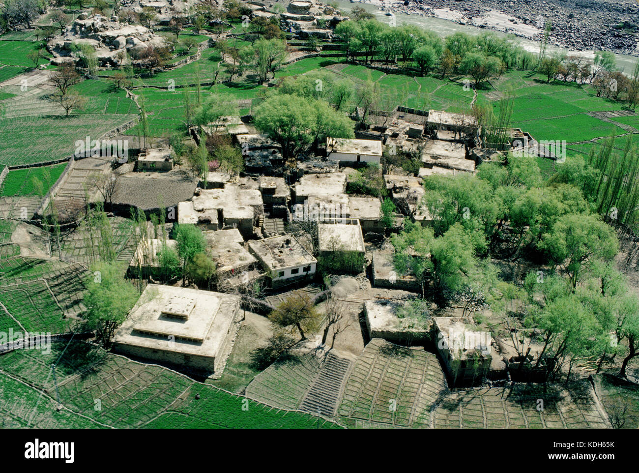 Upper Indus Valley near Skardu, Pakistan, 1990; Terraced fields make