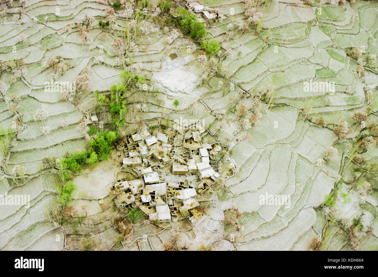 Upper Indus Valley near Skardu, Pakistan, 1990; Terraced fields make