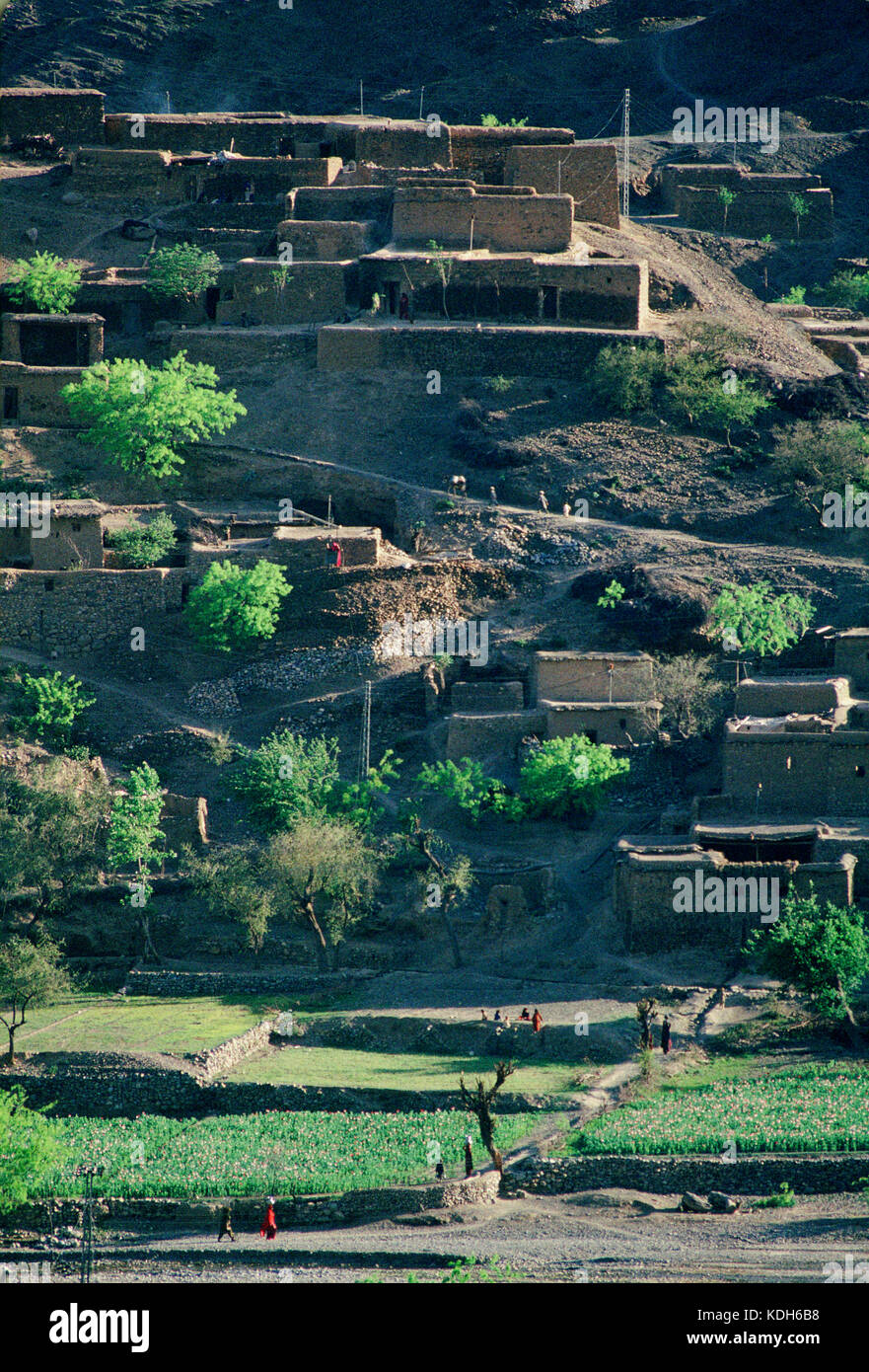 A village along the Kyber Pass, Pakistan, 1990; Terraced fields make the most of fertile soil on the river banks. Stock Photo