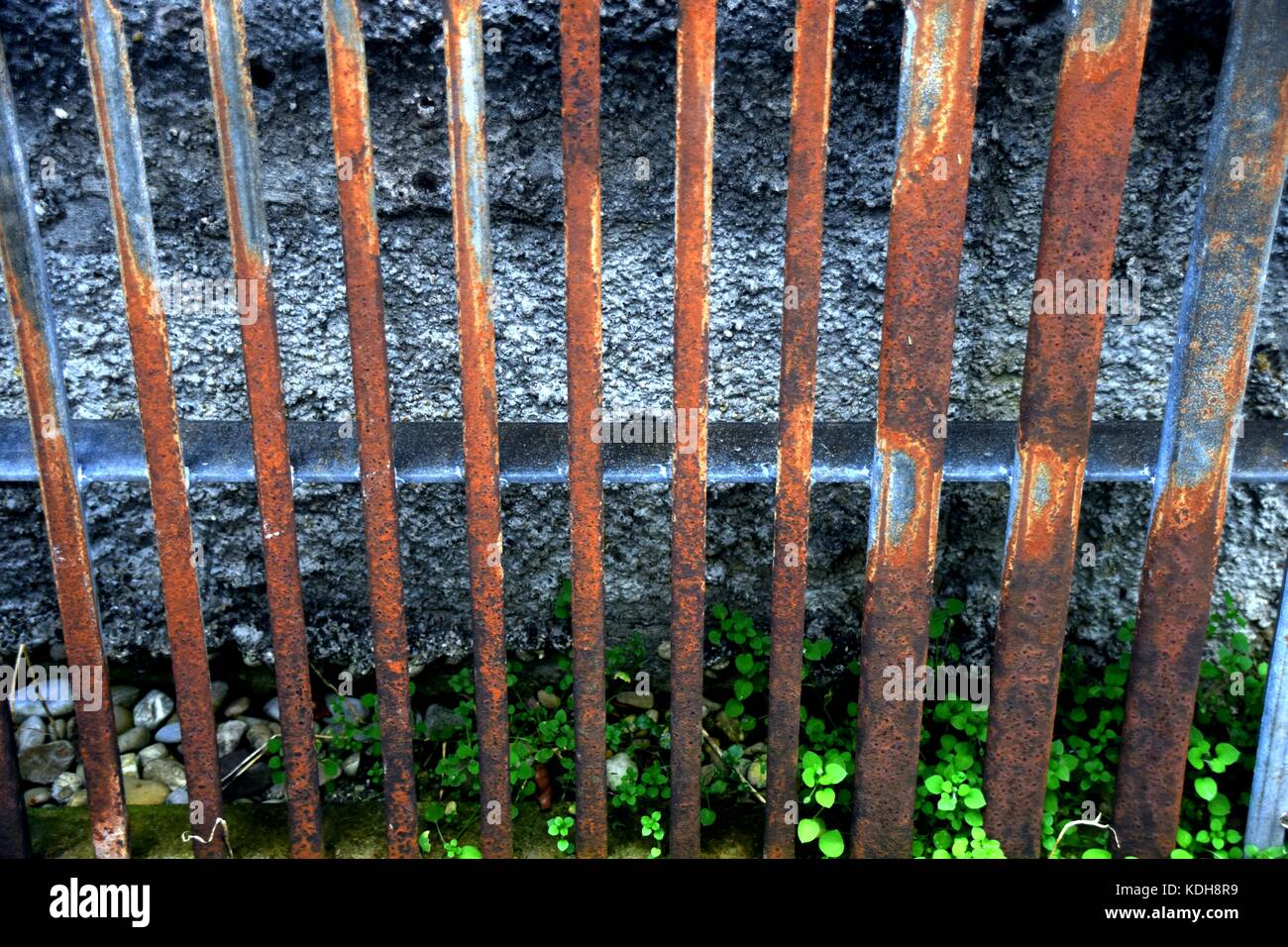 Iron gitter hi-res stock photography and images - Alamy