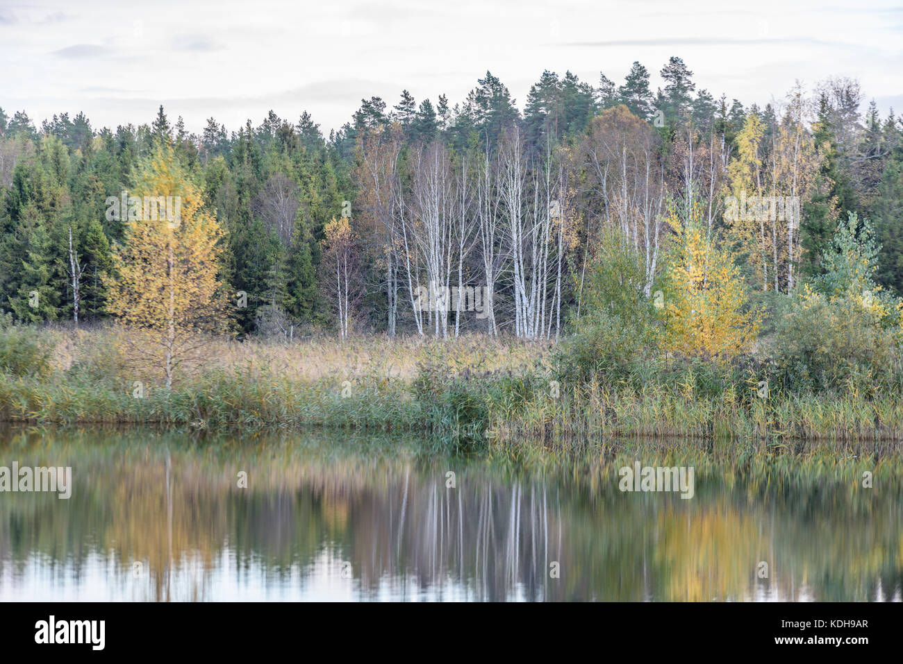 autumn colored trees on the shore of lake with reflections in water ...