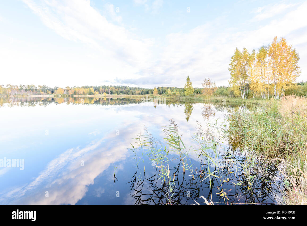 autumn colored trees on the shore of lake with reflections in water ...