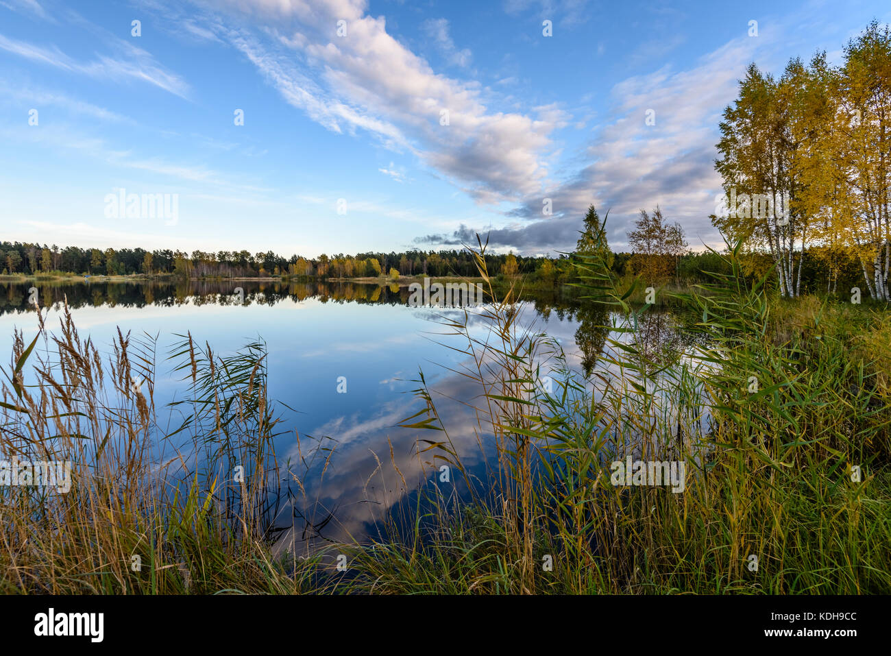 autumn colored trees on the shore of lake with reflections in water ...