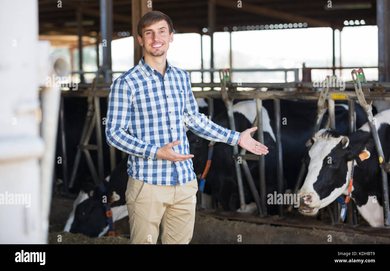 Smiling man touching cows through the fence in the cowshed Stock Photo ...