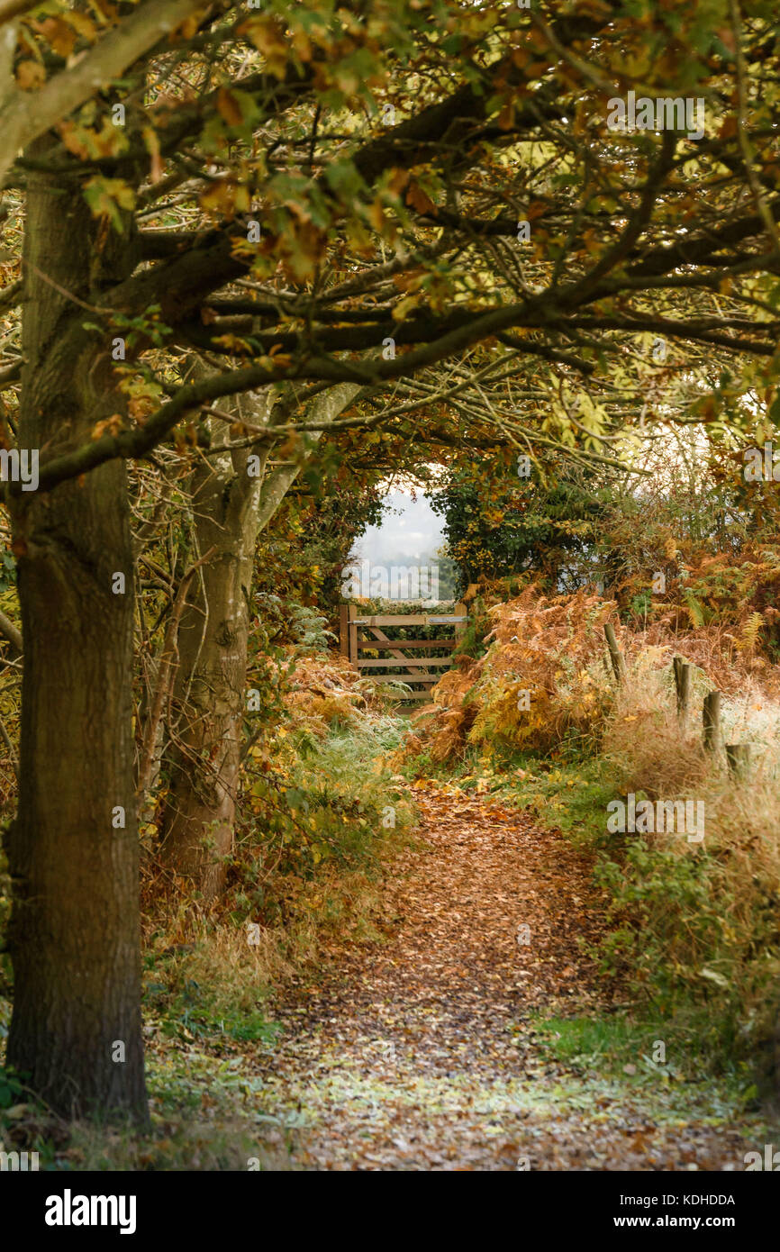 Autumn on public path in Codsall Stock Photo