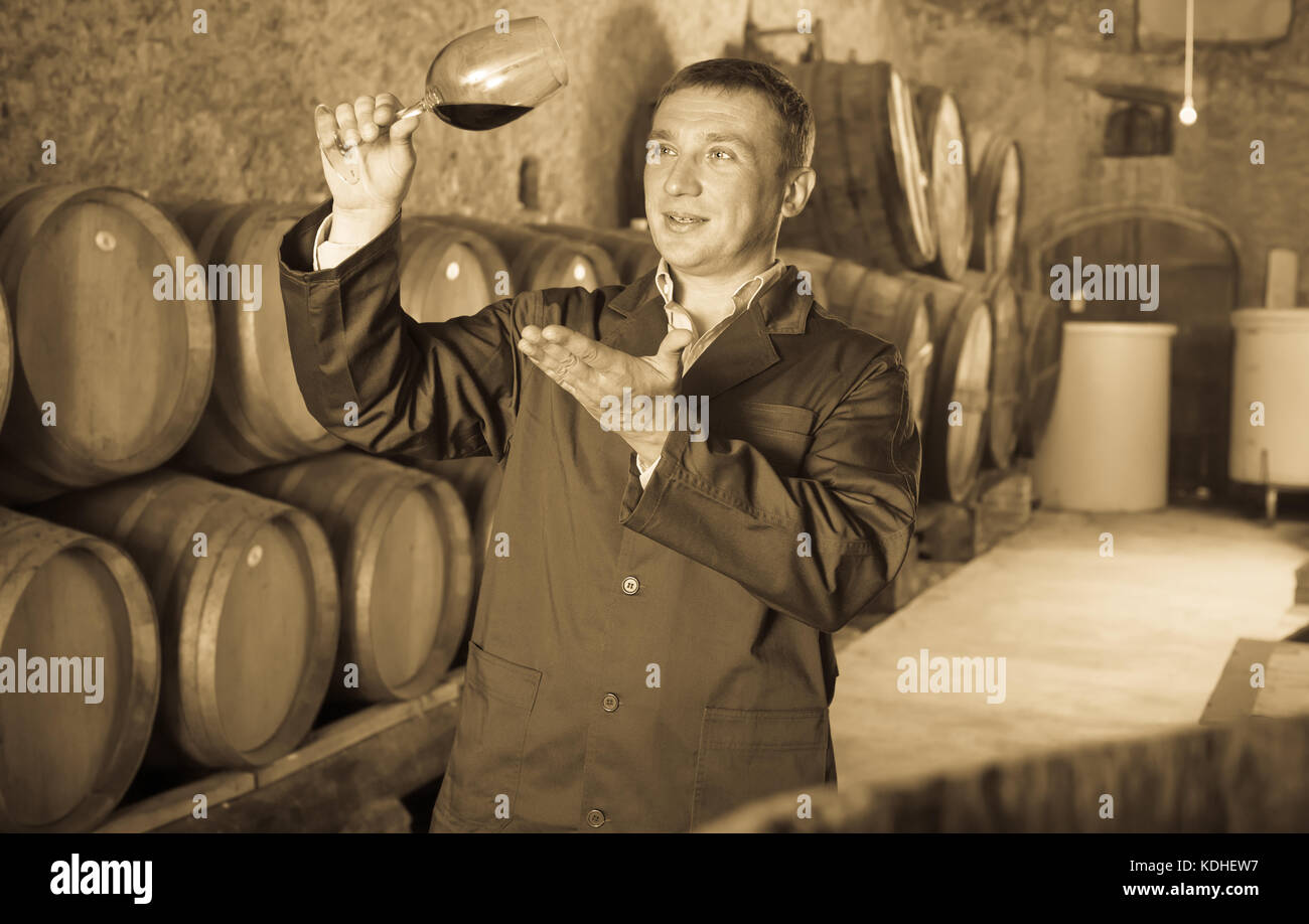 Taster posing with glass of wine in winery cellar Stock Photo - Alamy