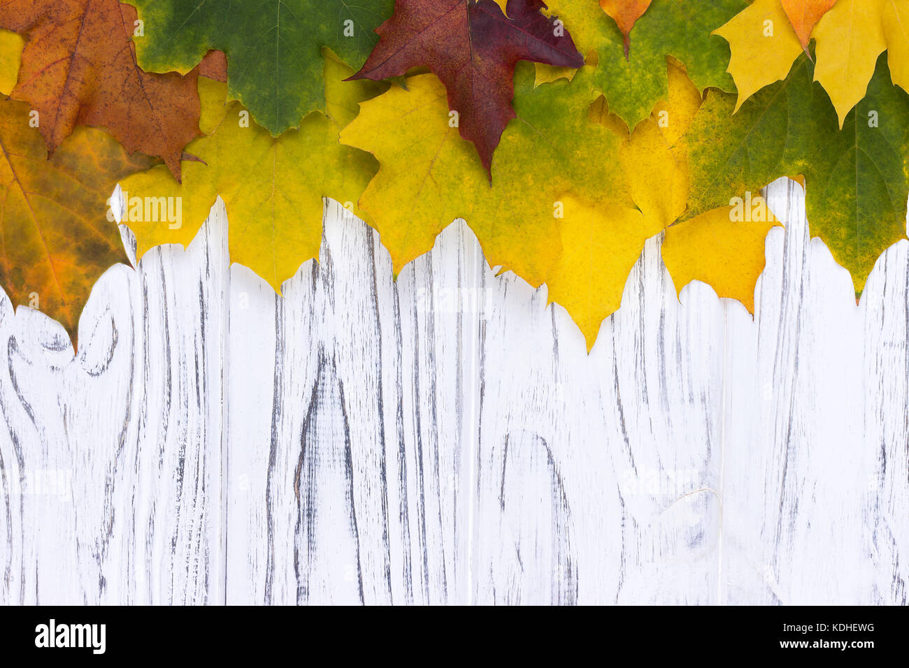 Autumn leaves over wooden background with copy space Stock Photo - Alamy