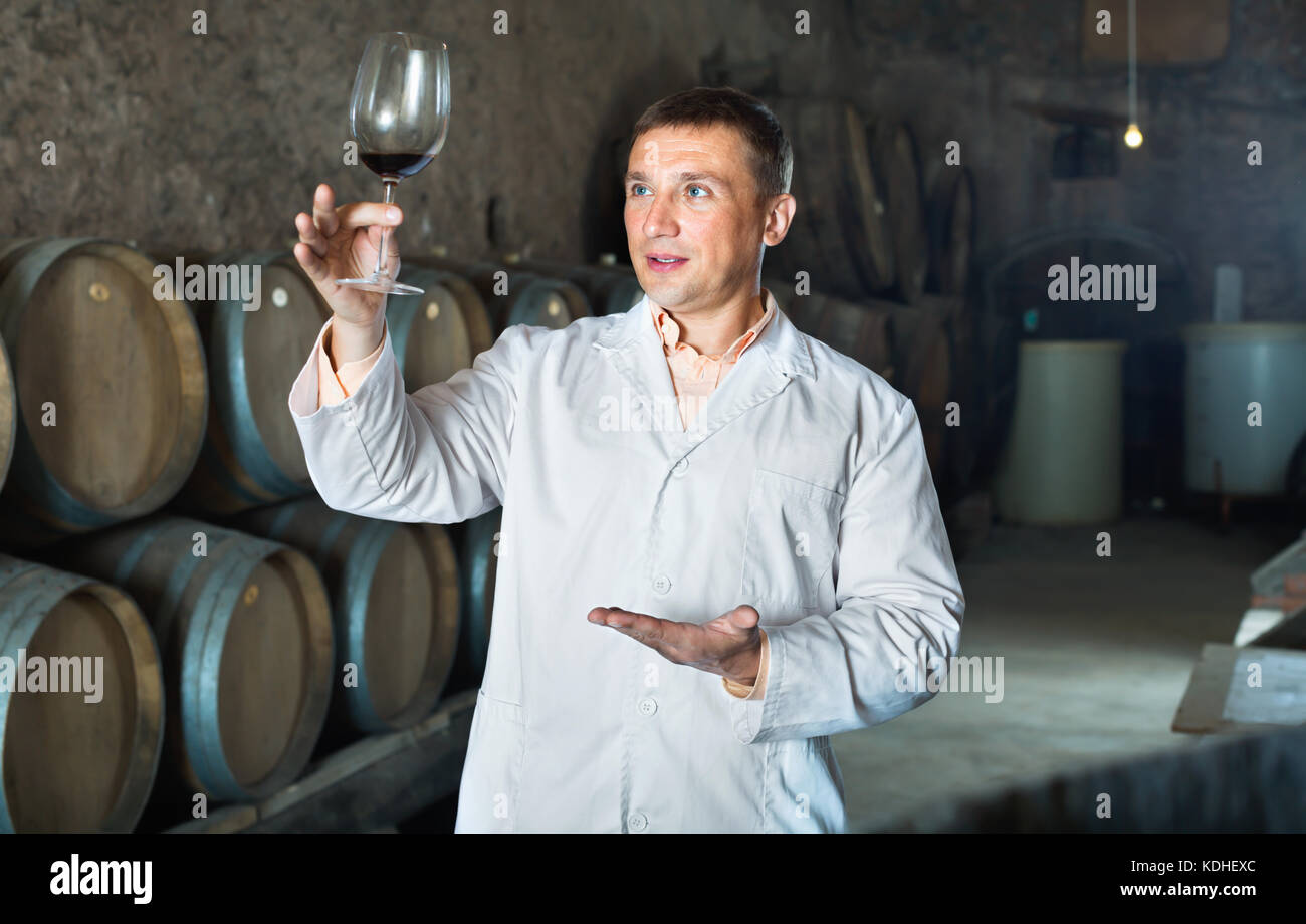 Friendly professional taster posing with glass of wine in winery cellar ...
