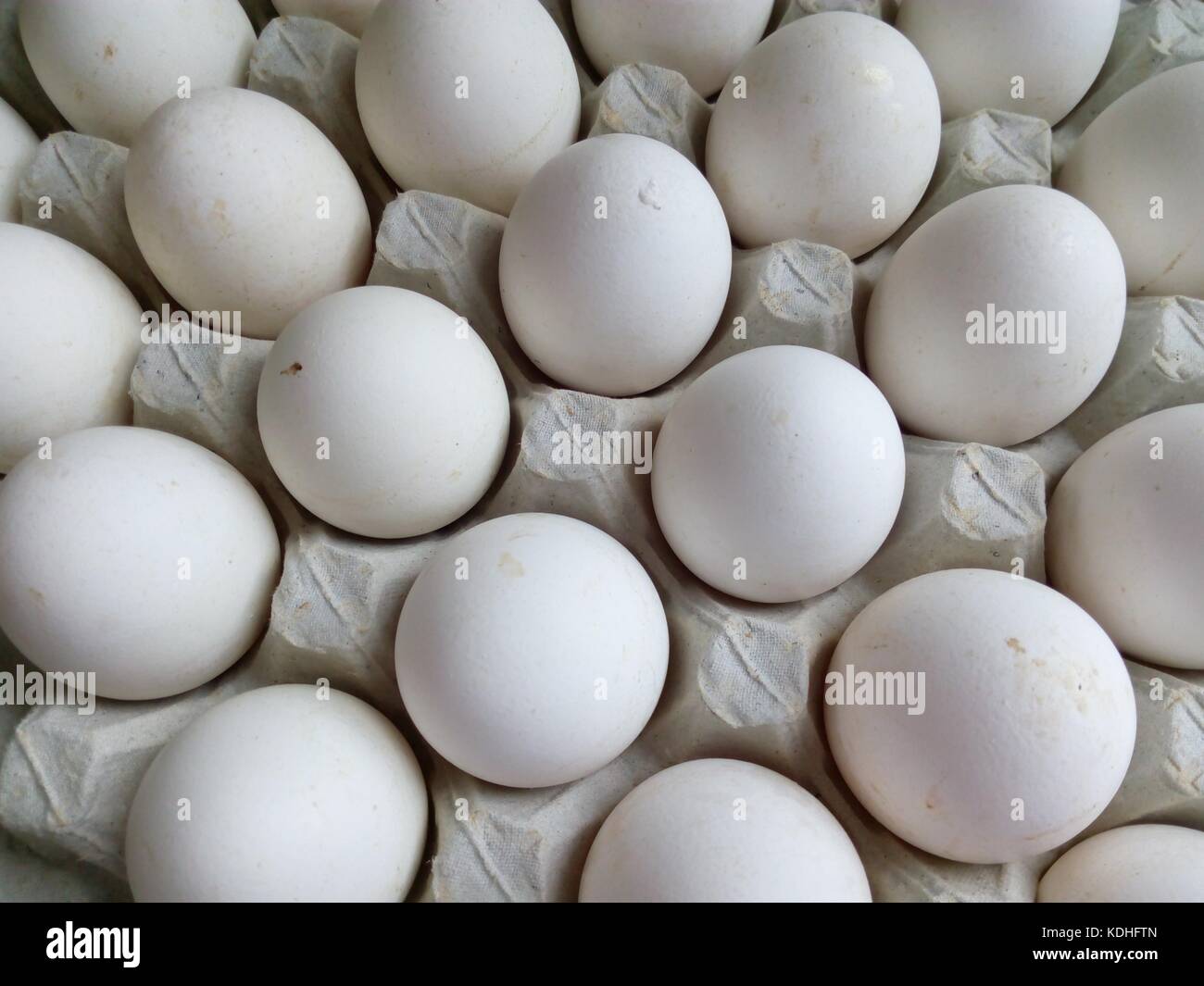 White chicken eggs in a cardboard tray gray closeup Stock Photo - Alamy