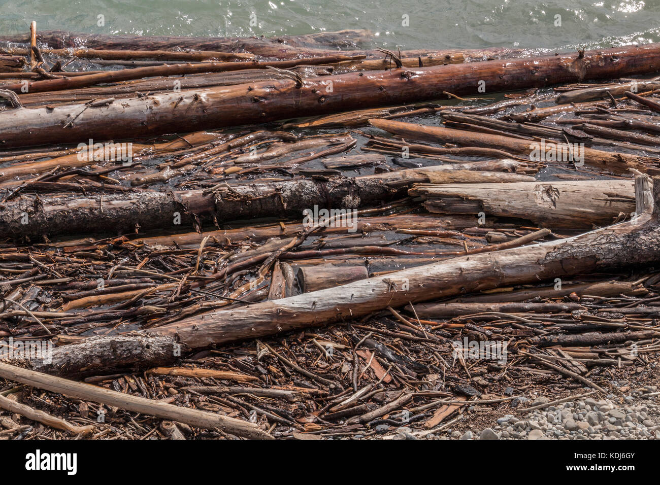 Water washed tree bits hires stock photography and images Alamy