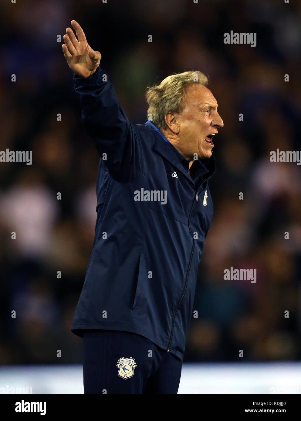 Cardiff City manager Neil Warnock during the Sky Bet Championship match St Andrew's, Birmingham. PRESS ASSOCIATION Photo. Picture date: Friday October 13, 2017. See PA story SOCCER Birmingham. Photo credit should read: Nick Potts/PA Wire. No use with unauthorised audio, video, data, fixture lists, club/league logos or 'live' services. Online in-match use limited to 75 images, no video emulation. No use in betting, games or single club/league/player publications. Stock Photo