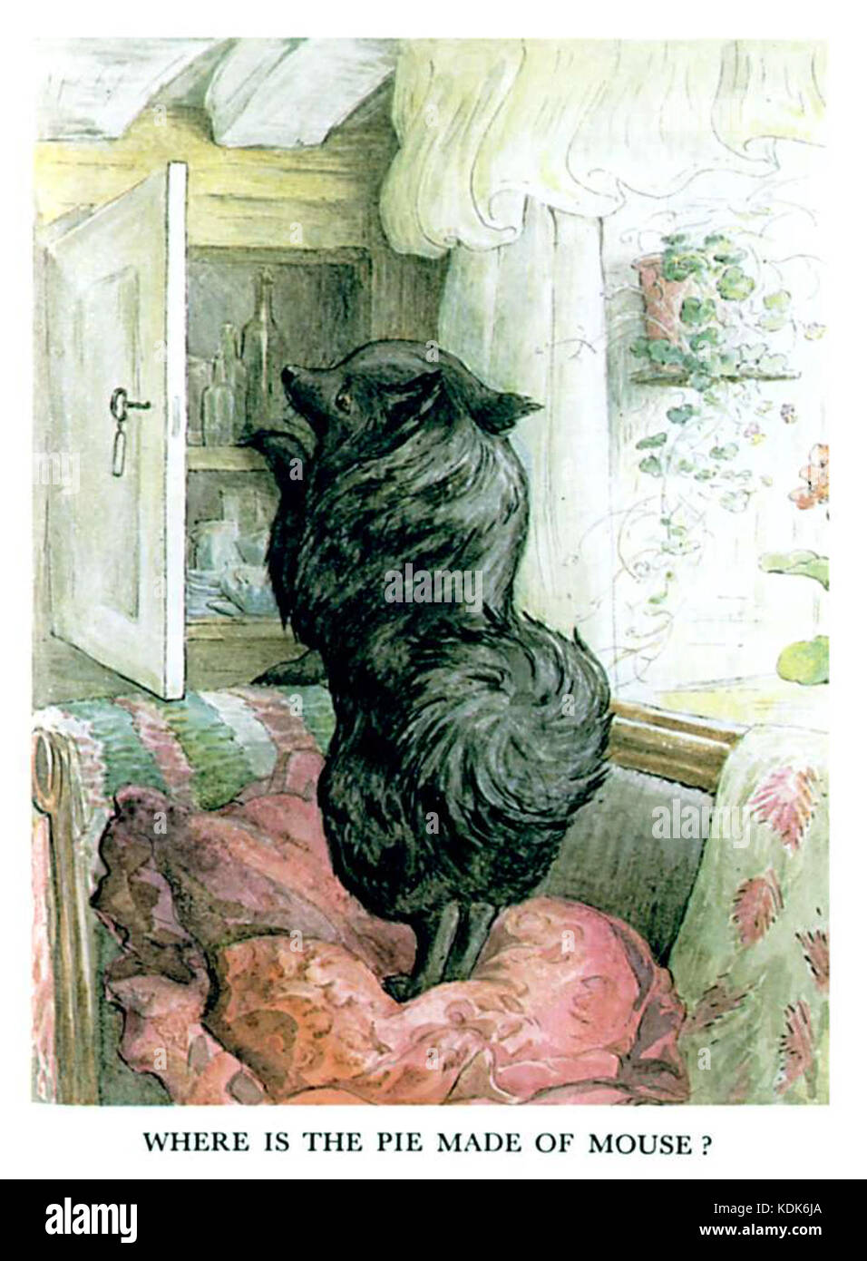 Pie and the patty pan ribby Stock Photo Alamy