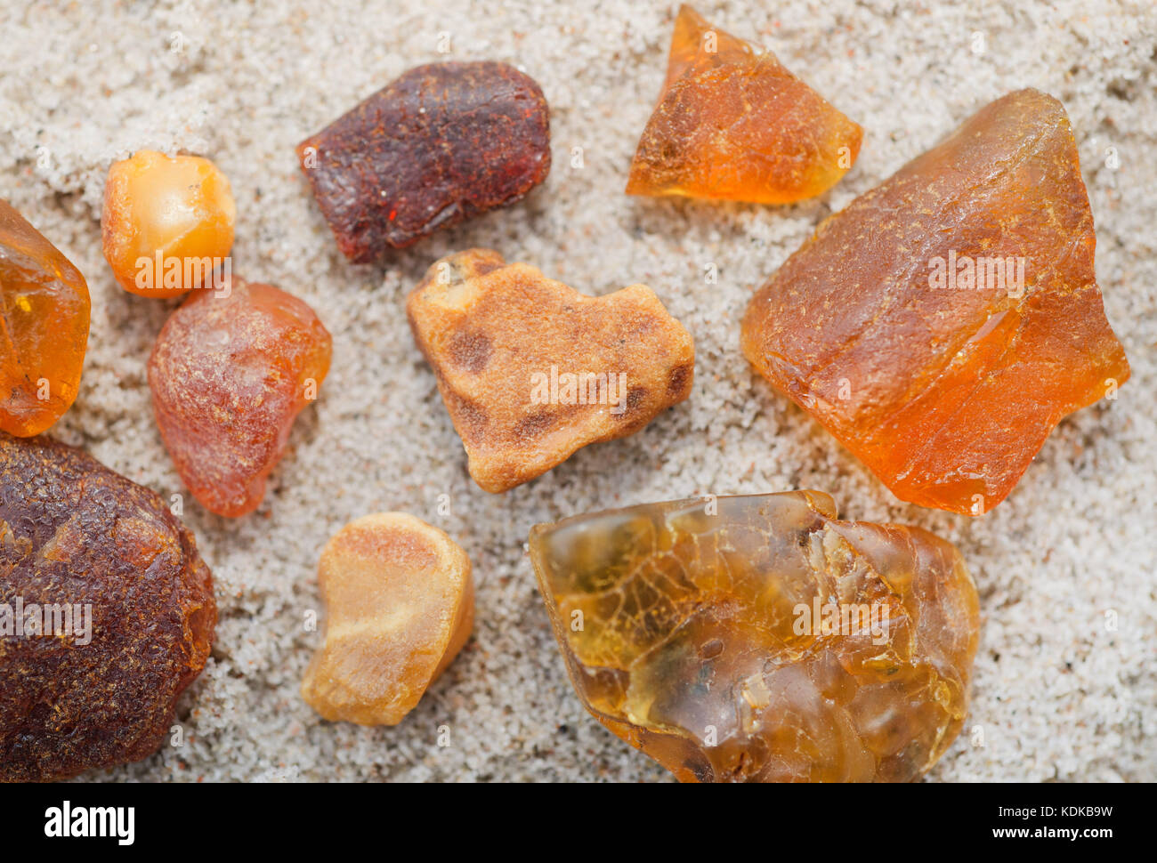 Fossil resins hi res stock photography and images Alamy Fossil resins hi res stock photography and images Alamy