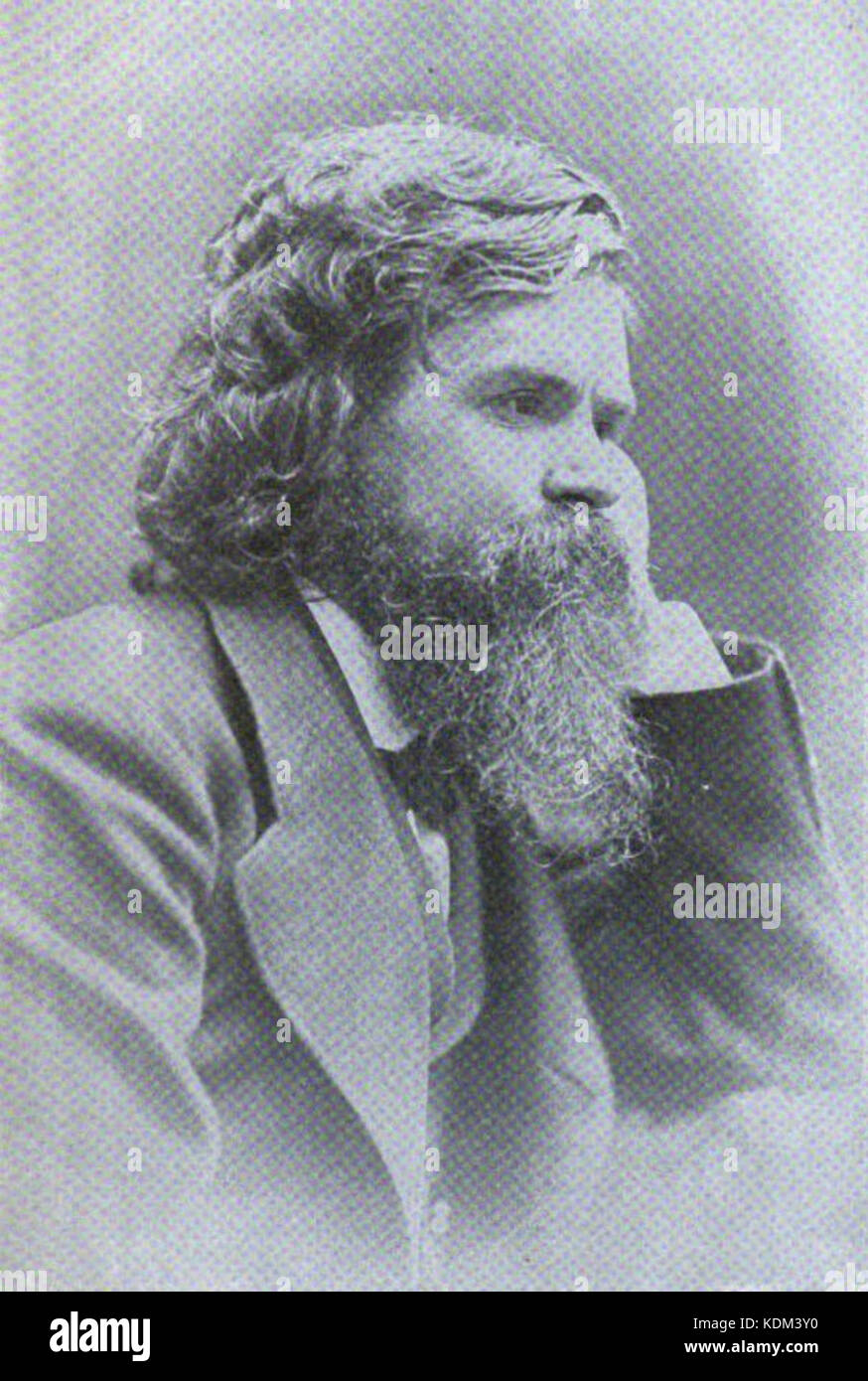 Portrait of Edward Eggleston Stock Photo Alamy