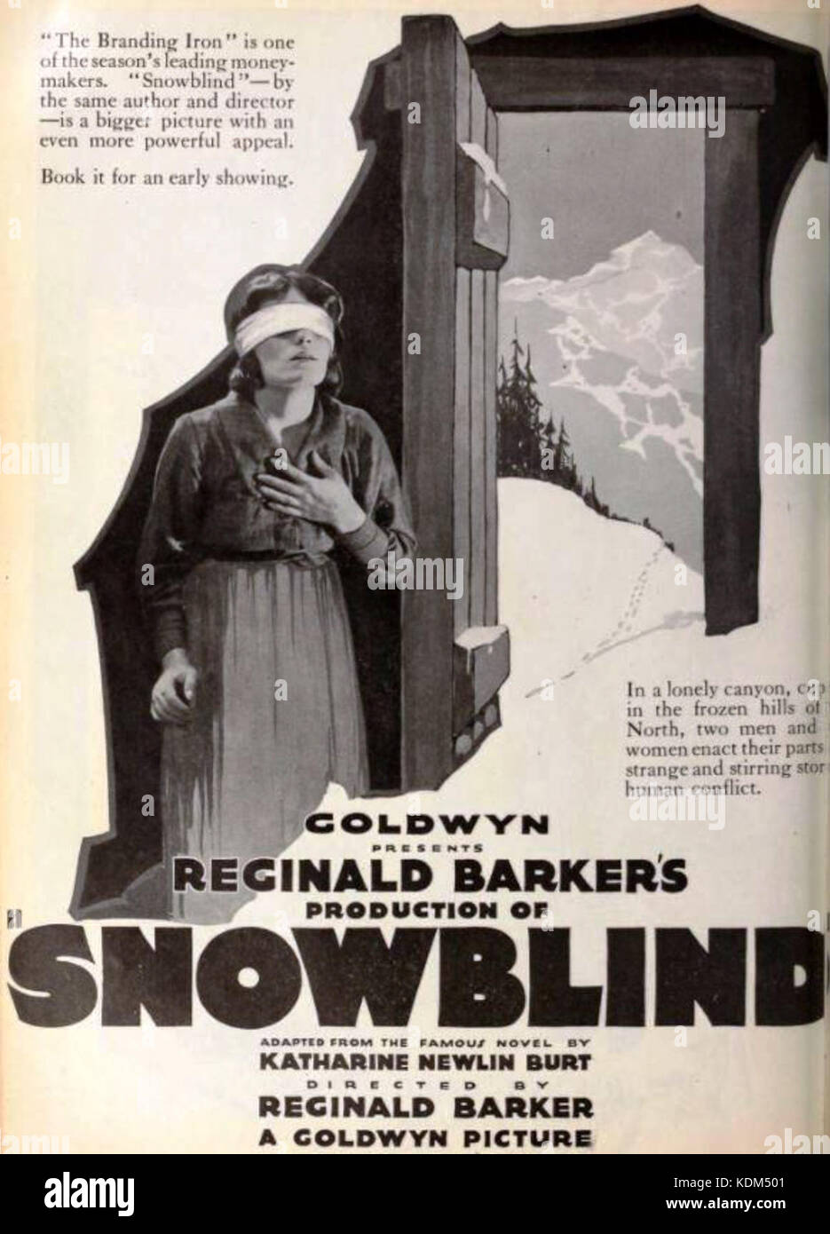 Snowblind (1921)   2 Stock Photo