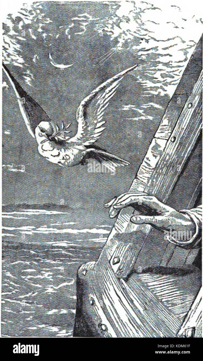 Noah receives the dove Stock Photo Alamy