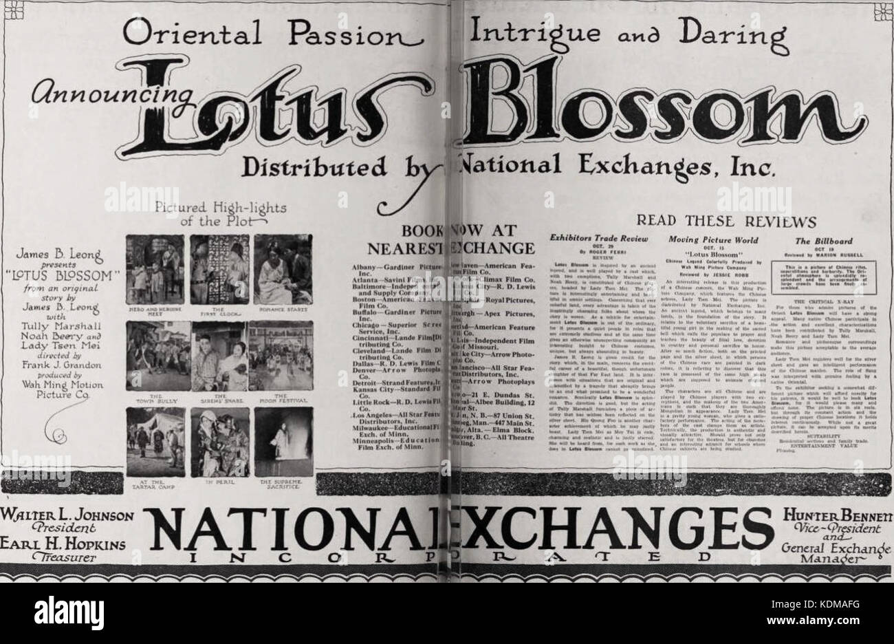 Lotus Blossom (1921)   1 Stock Photo