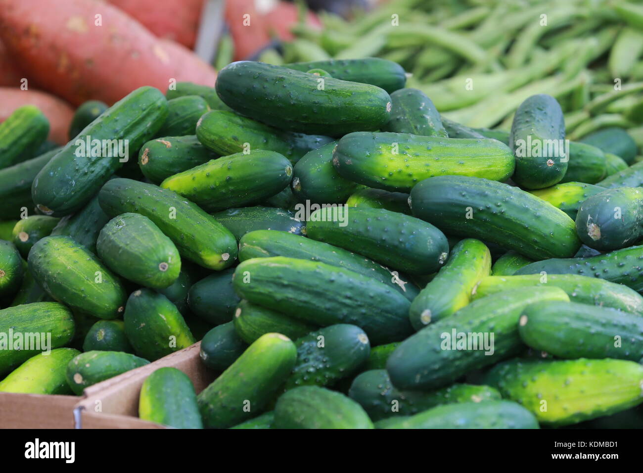 Cucumbers on display in a farmers market Stock Photo Alamy