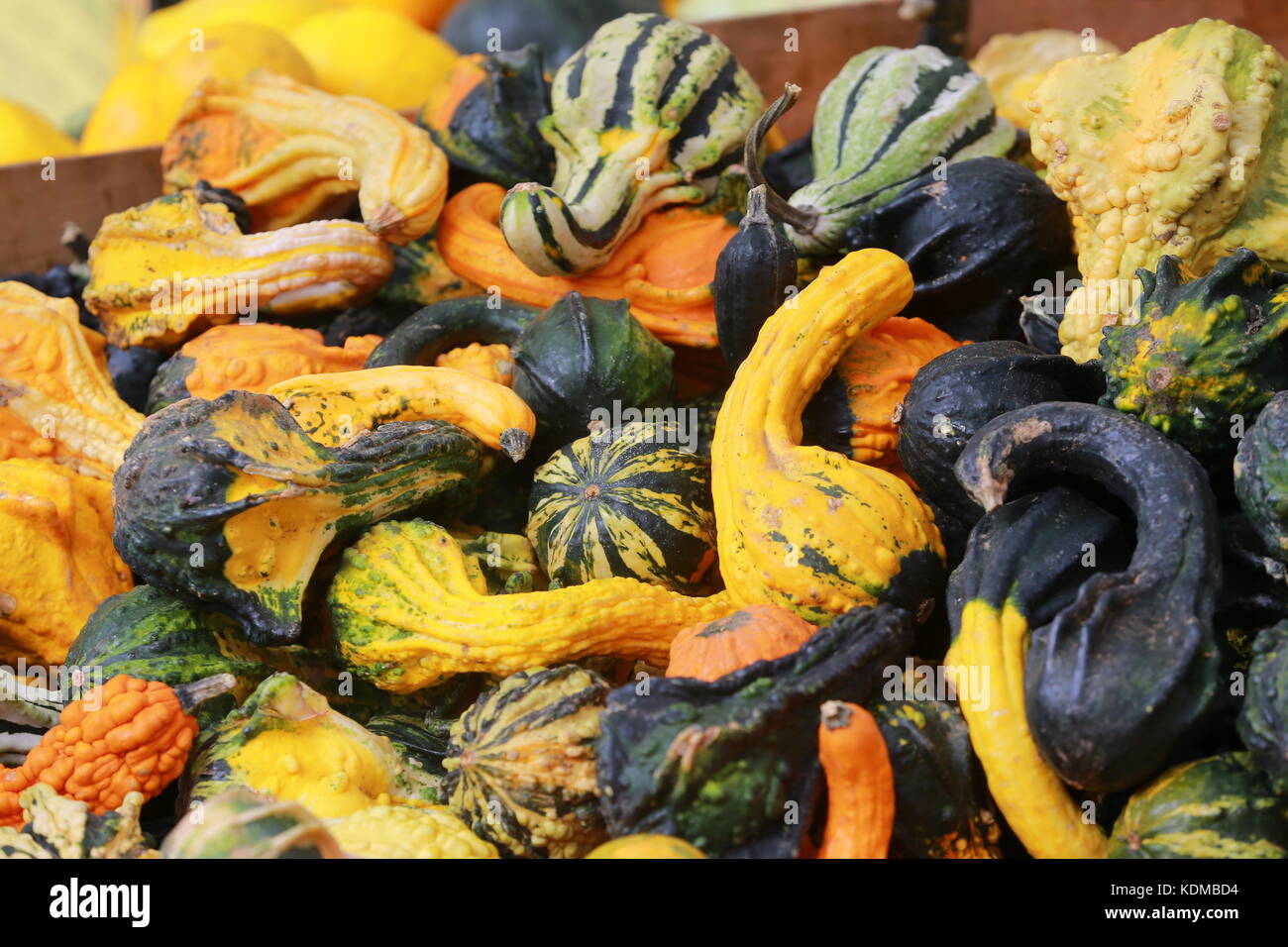 A display of pumpkins on display at a farmers market Stock Photo - Alamy