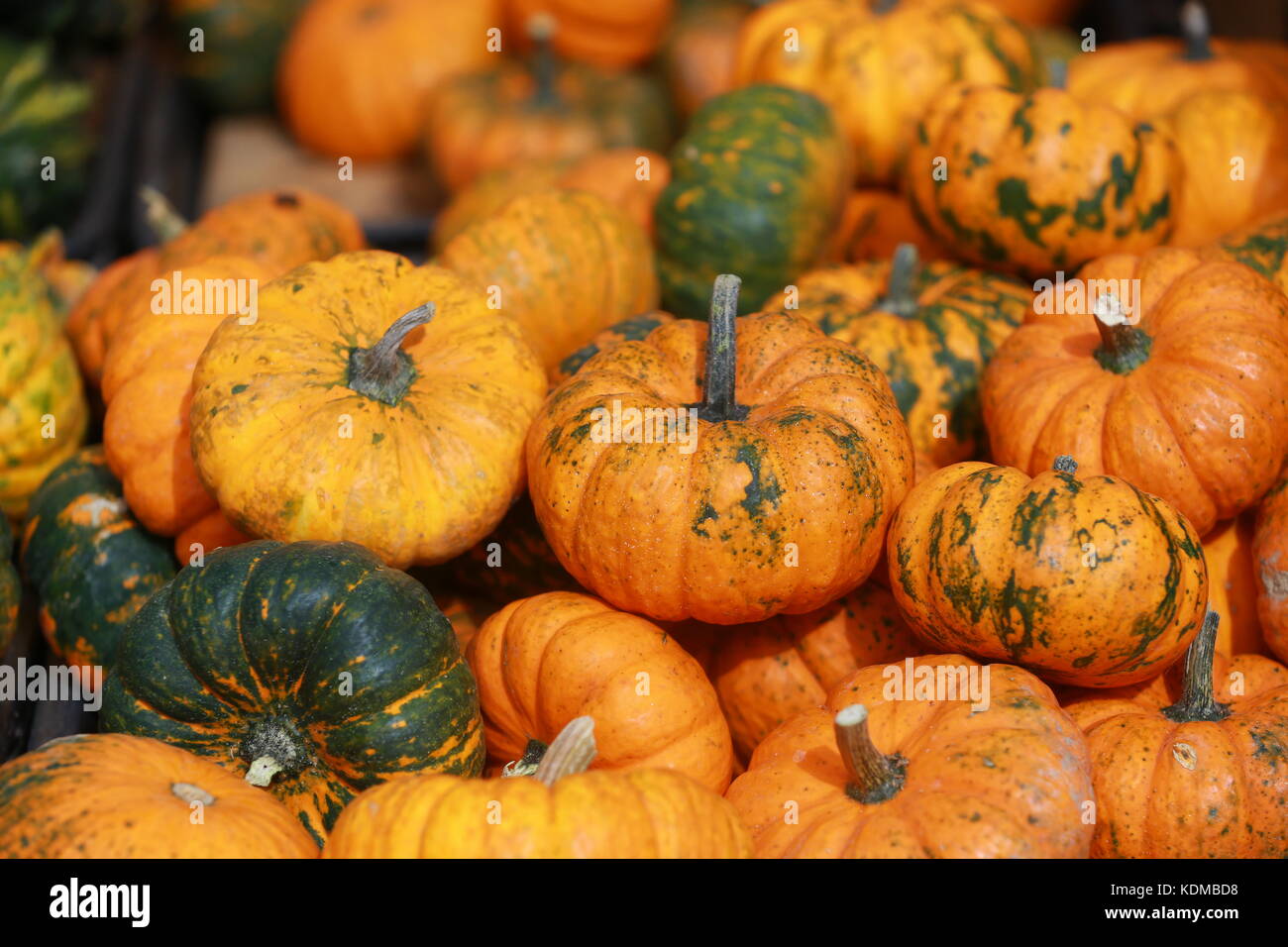 A display of pumpkins on display at a farmers market Stock Photo - Alamy