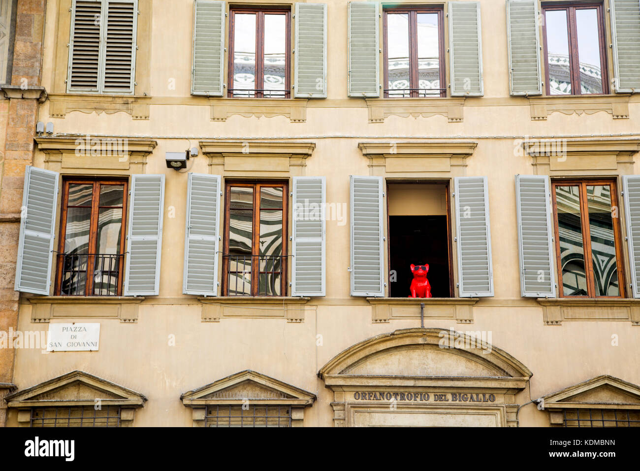 Statue of red dog in window in Florence Stock Photo Alamy