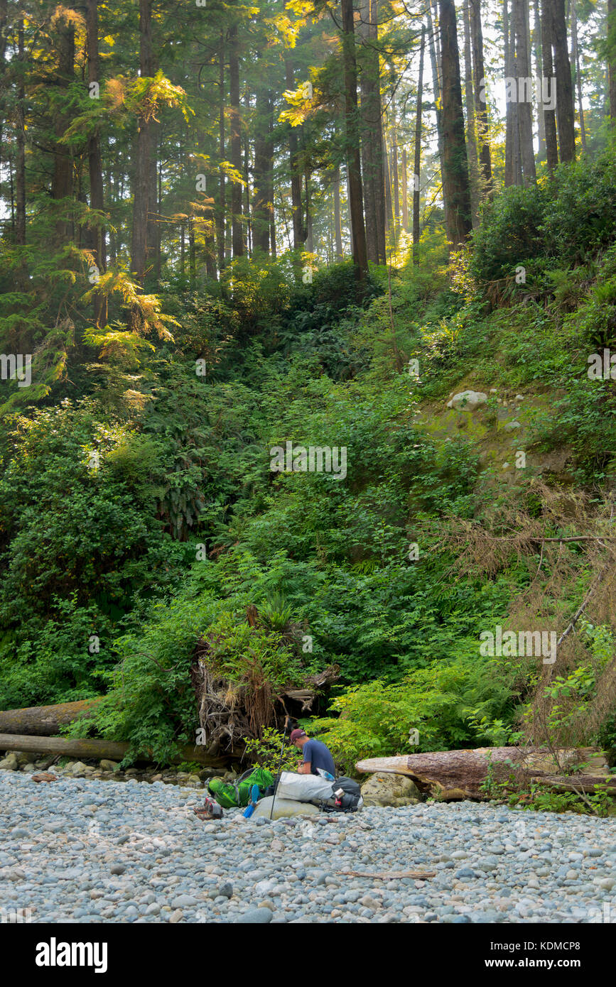 Hiker resting on a rock on the West Coast Trail Stock Photo