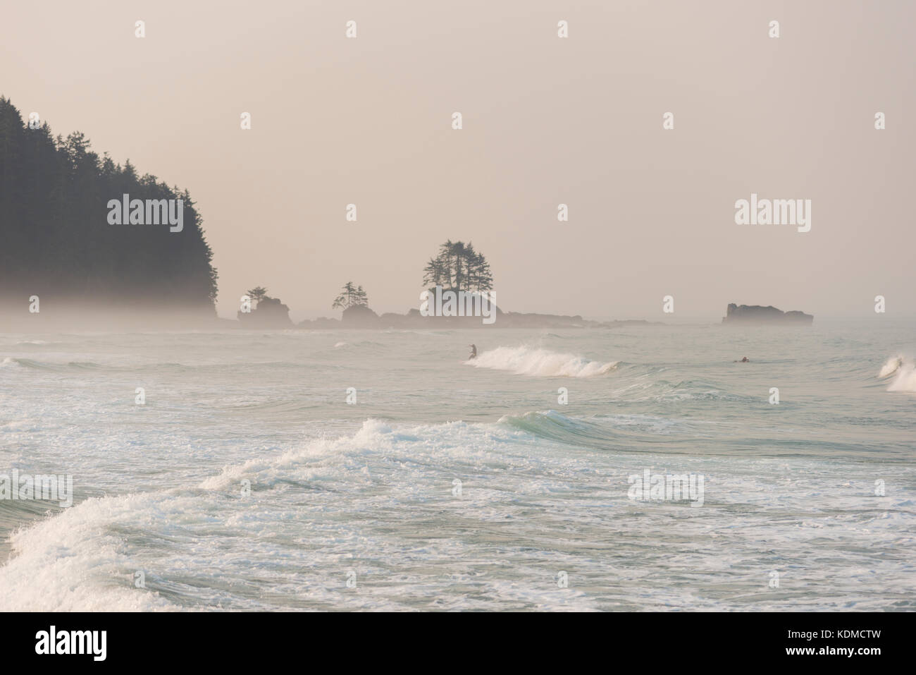 Surfers At Cribs Creek In Pacific Rim National Park Stock Photo