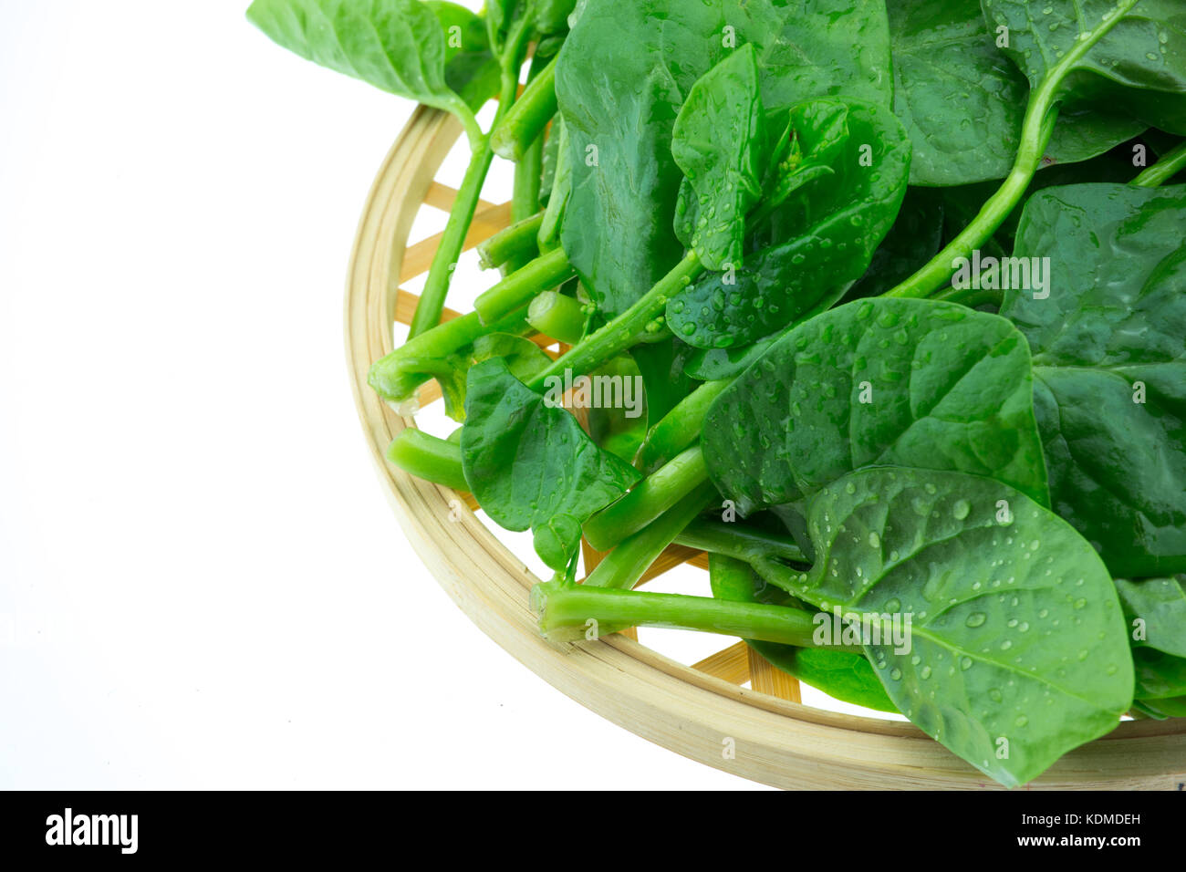 Basella Alba Malabar Spinach isolated on white background Stock Photo ...