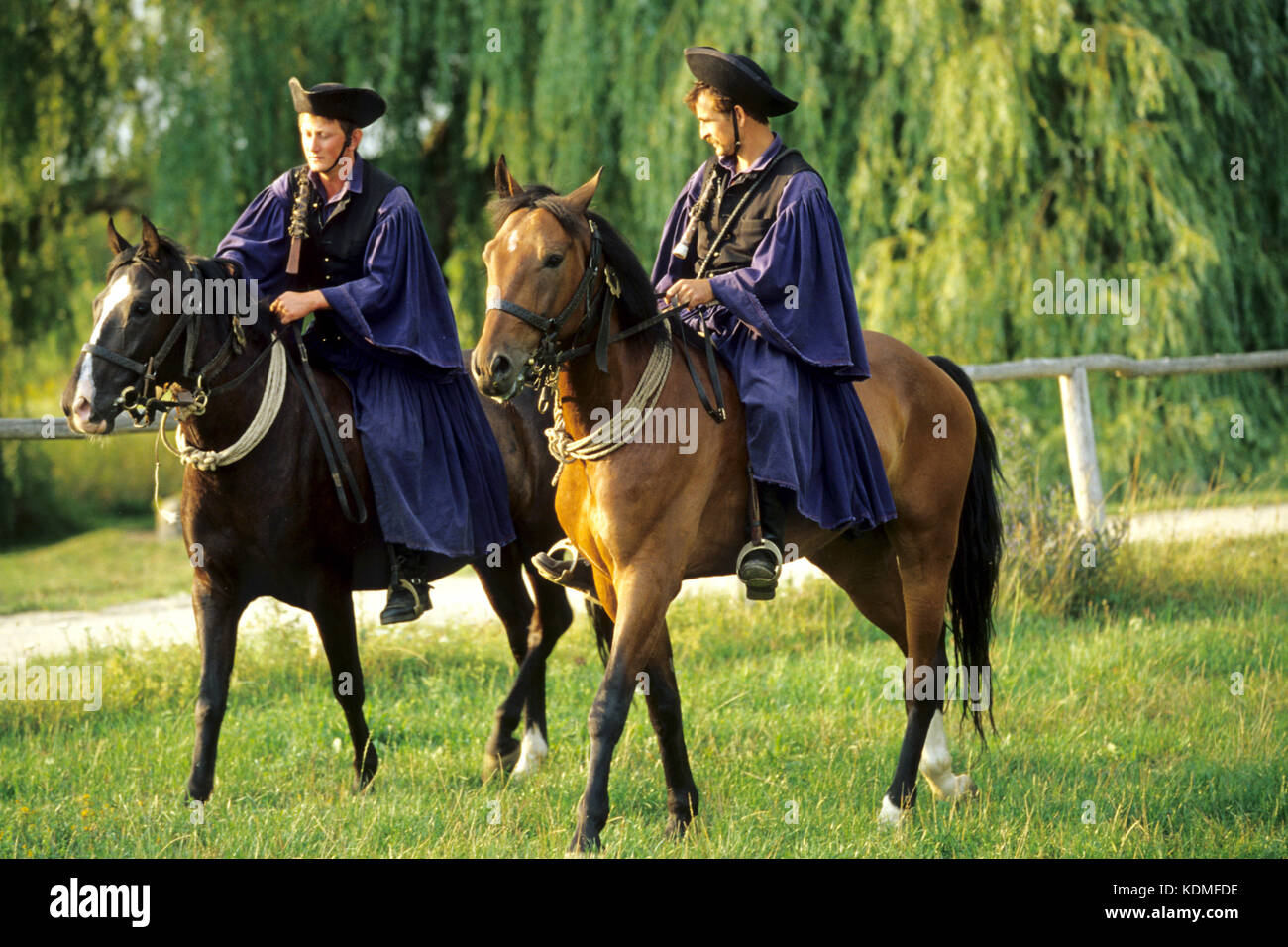 Ungarn, Balaton, Kaptalantoti im Kalbecken, Reiter Stock Photo