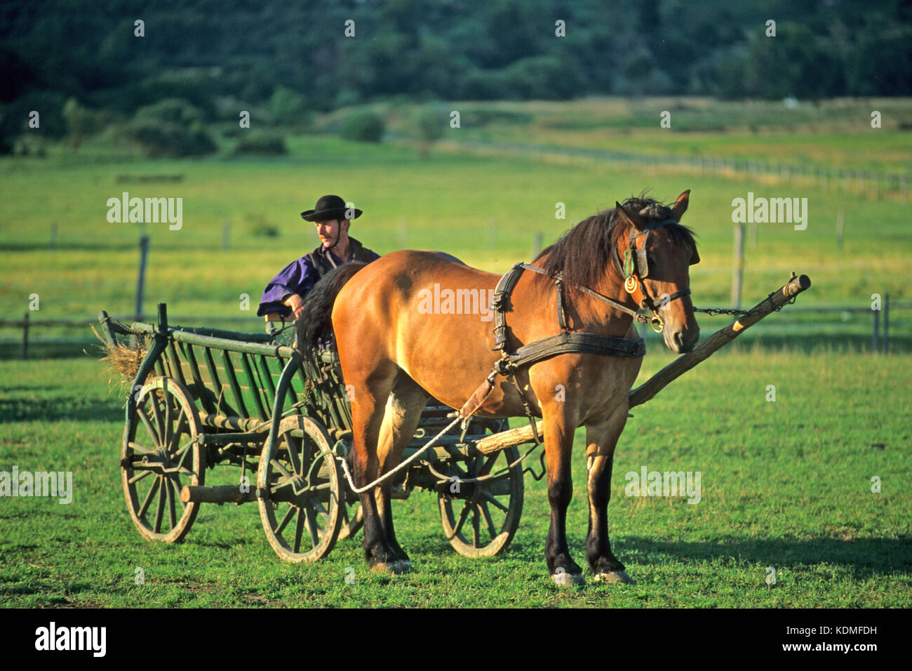 Ungarn, Balaton, Salfˆd im Kalbecken, Stock Photo