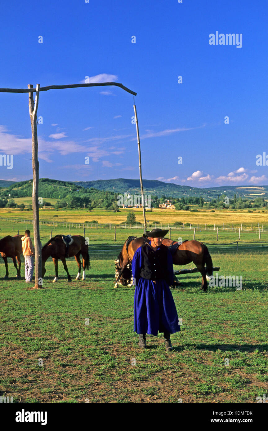 Ungarn, Balaton, Salfˆd im Kalbecken, Stock Photo
