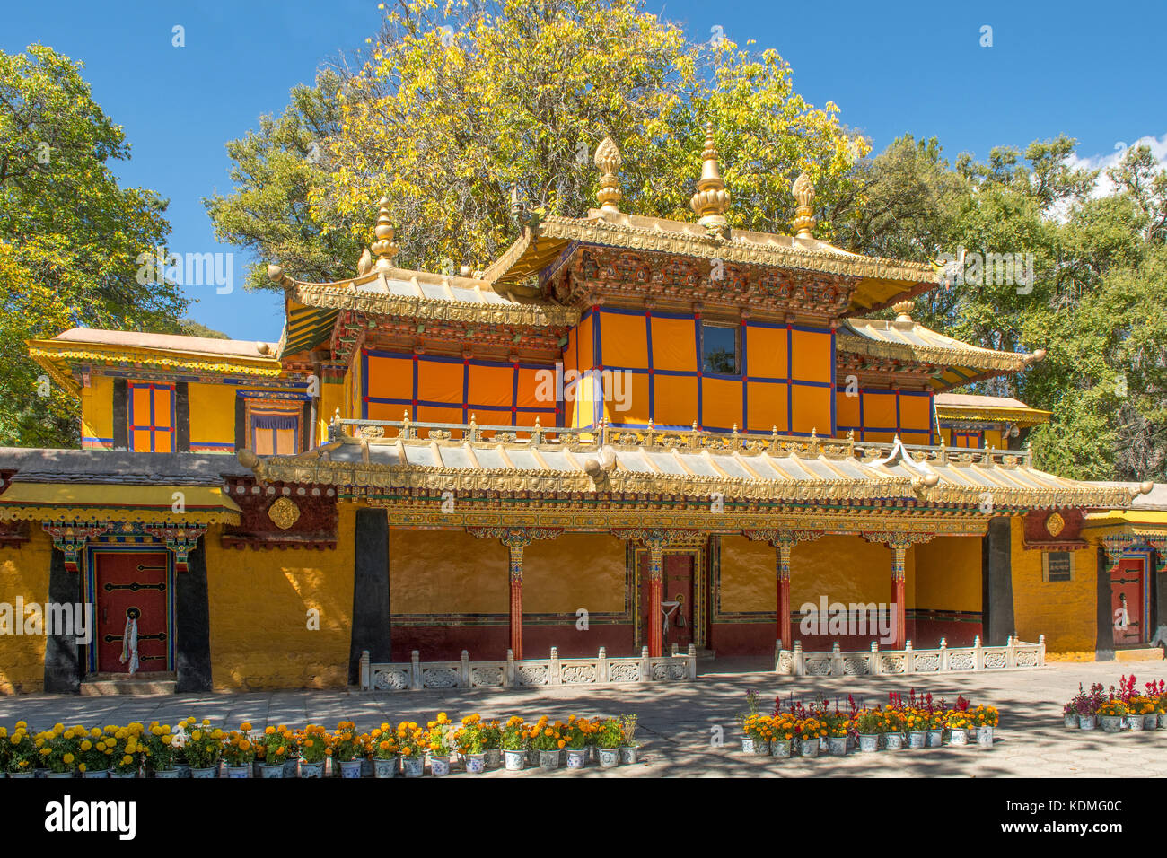 Khamsung Zilnon in Norbulingka, Summer Palace, Lhasa, Tibet, China Stock Photo