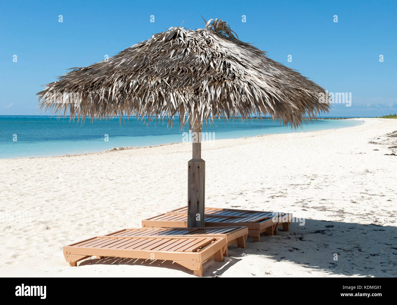 bahama umbrella