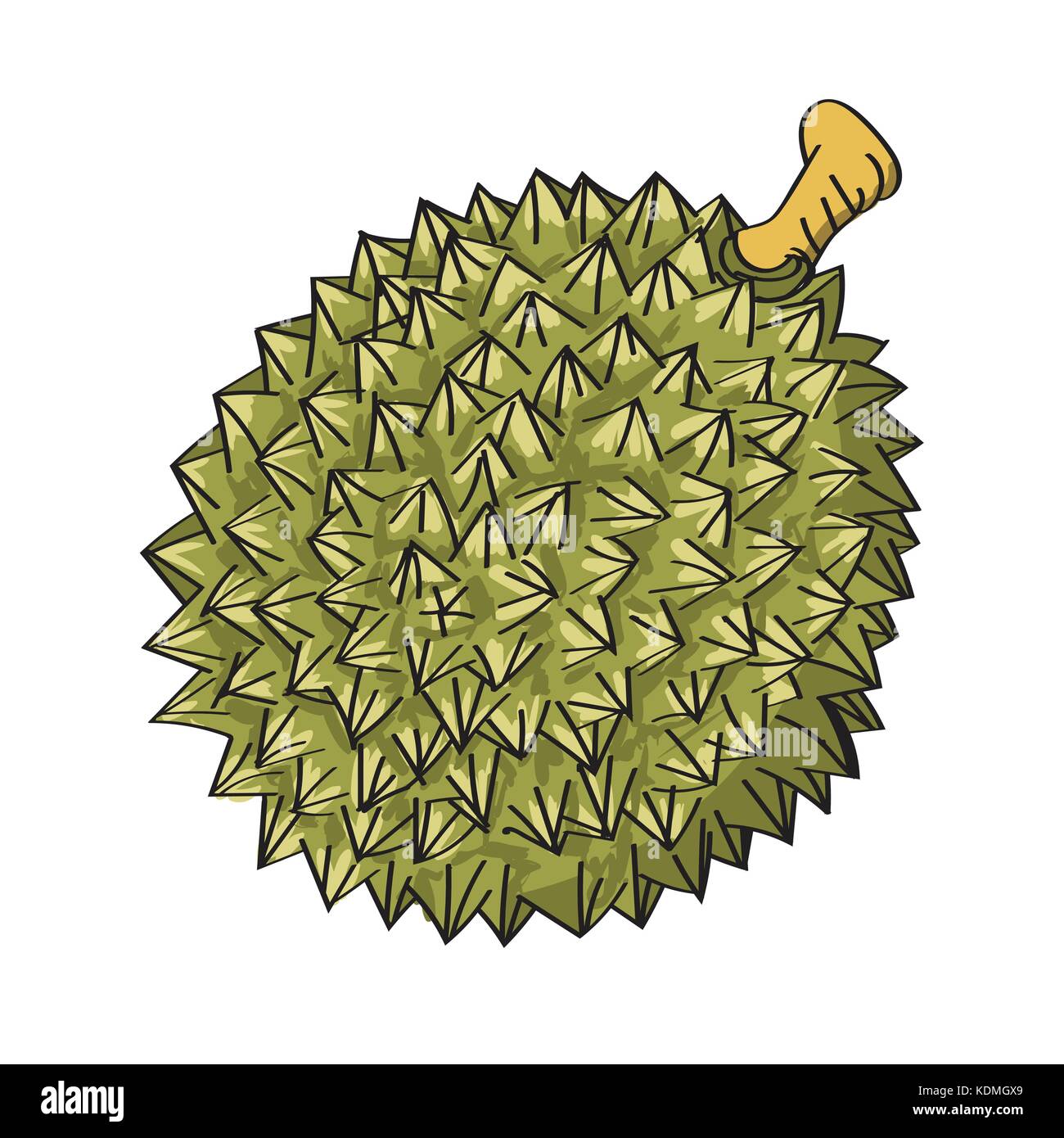 durian fruit drawing