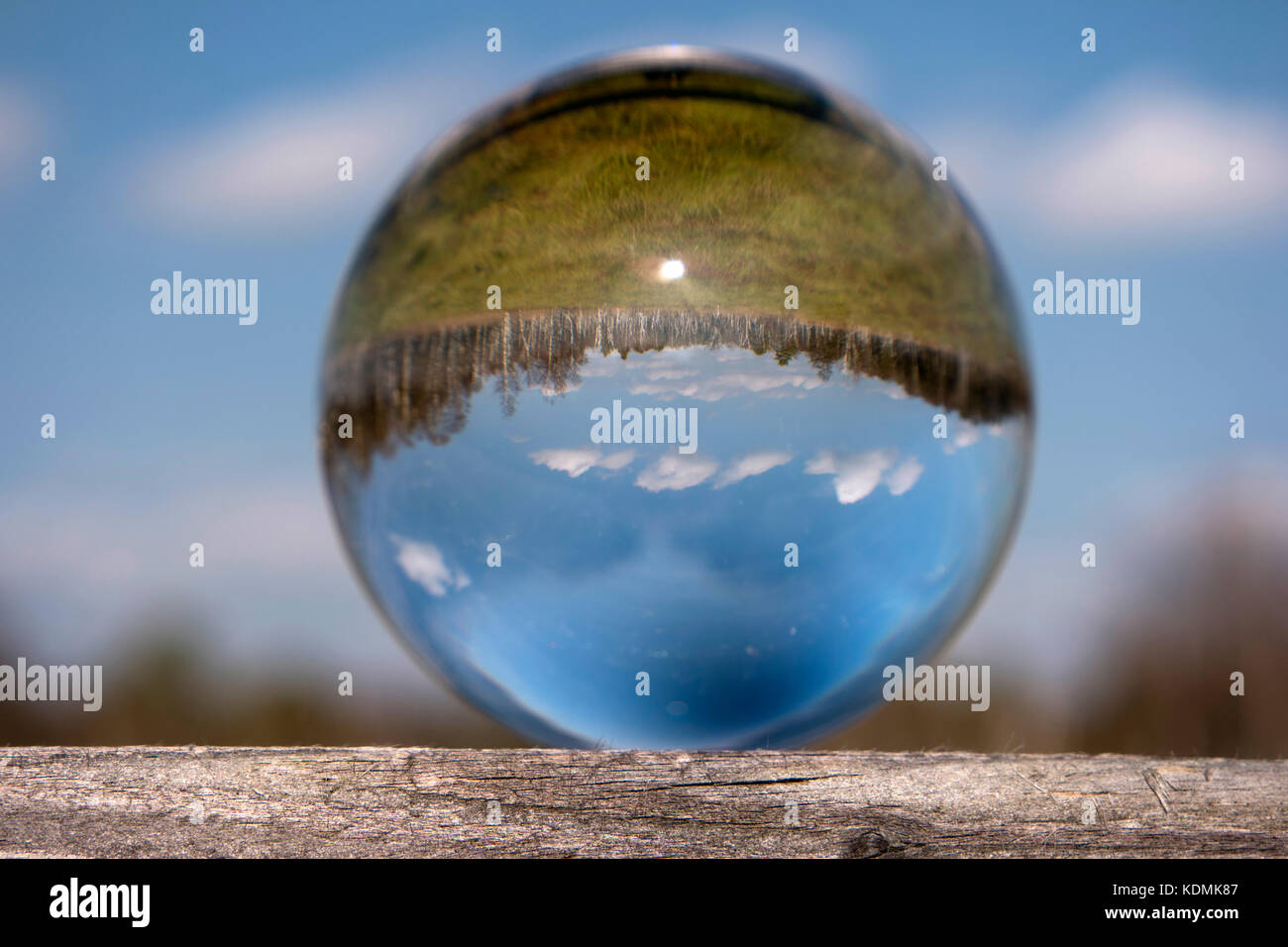 Swamp Landscape in a Glass Ball Stock Photo - Alamy