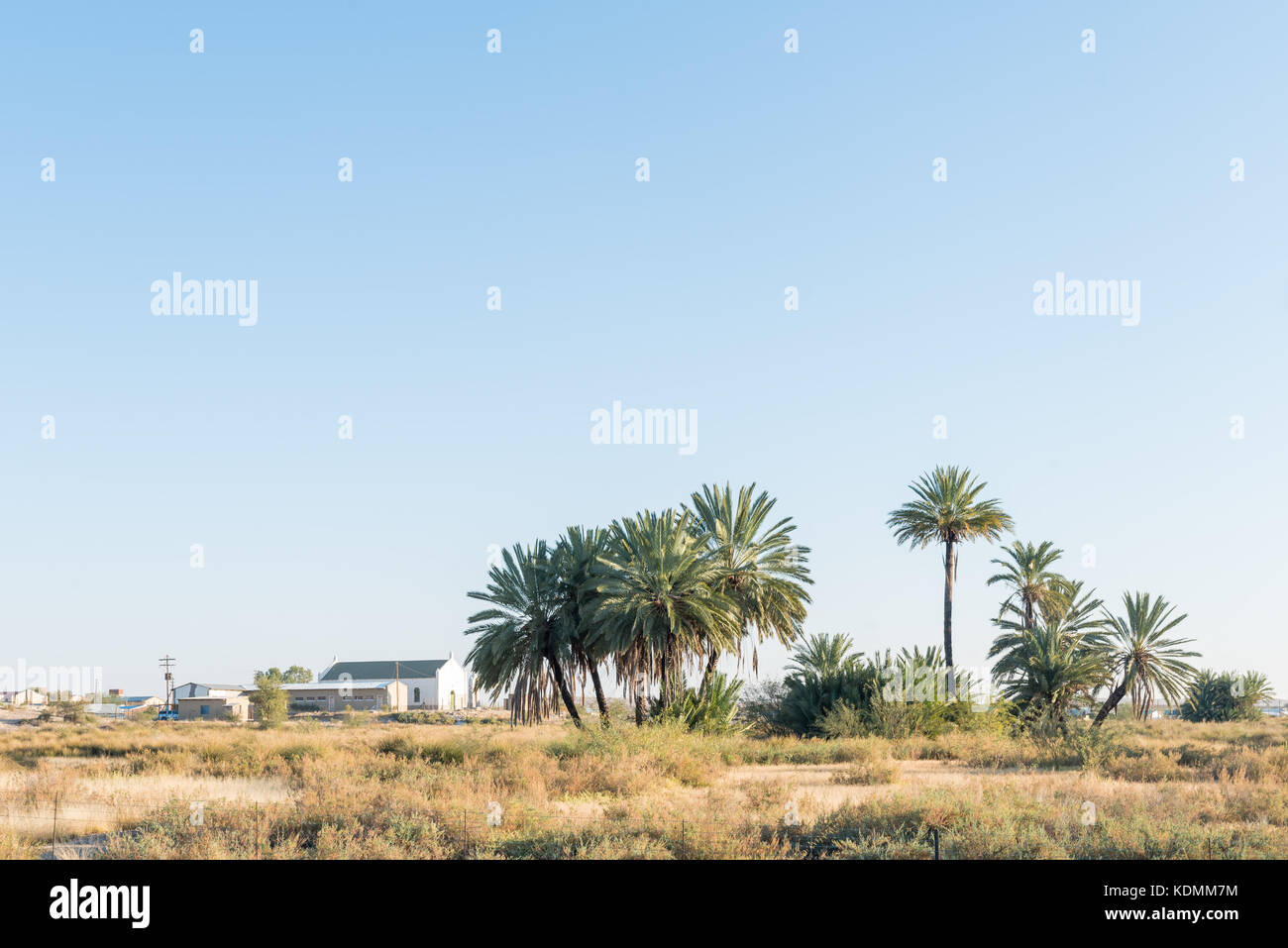 The historic fountain between palm trees in Rietfontein, a small town in the Northern Cape Province of South Africa on the border with Namibia Stock Photo