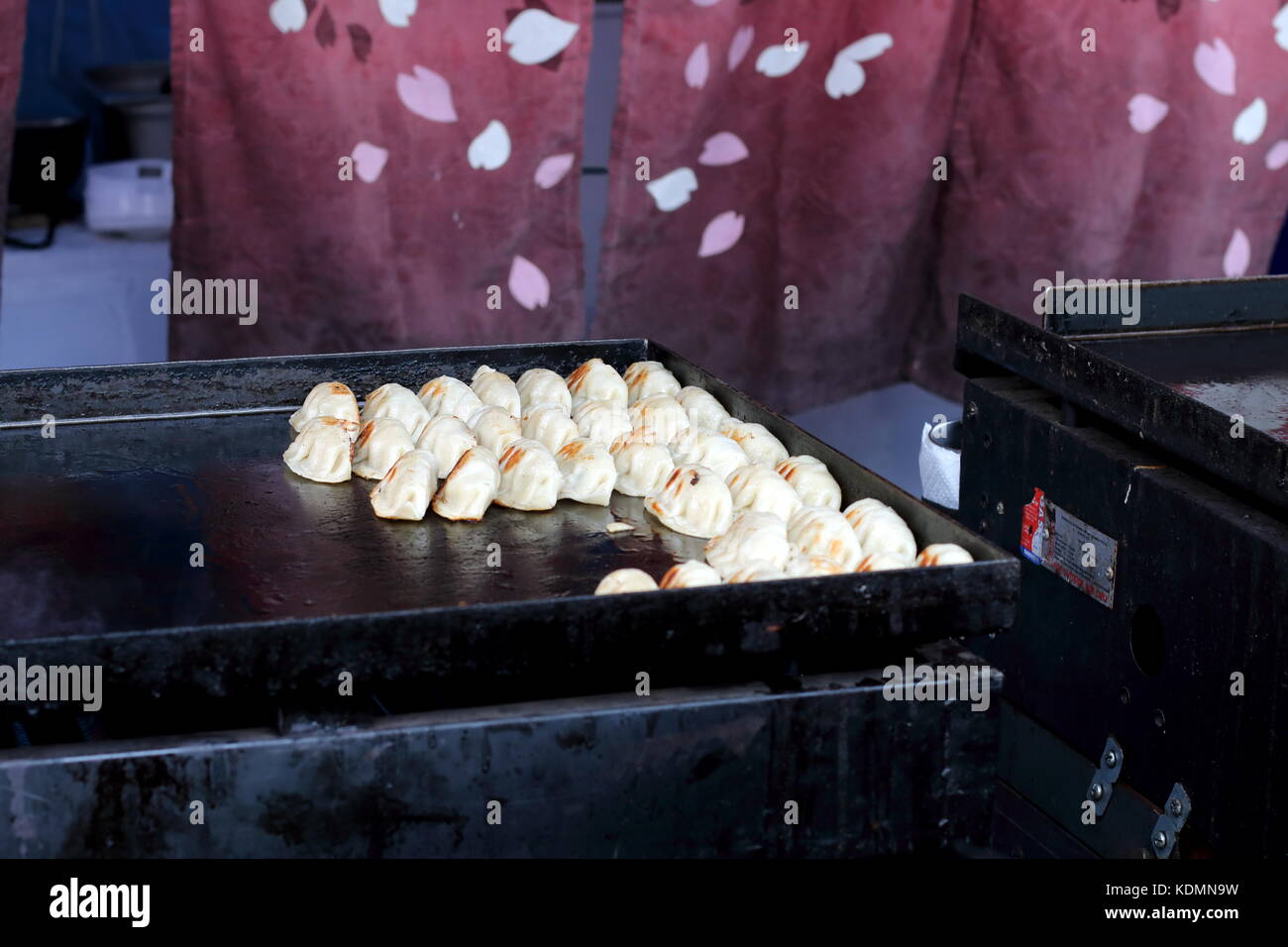 Asian Dumplings being cooked on a hot plate Stock Photo Alamy