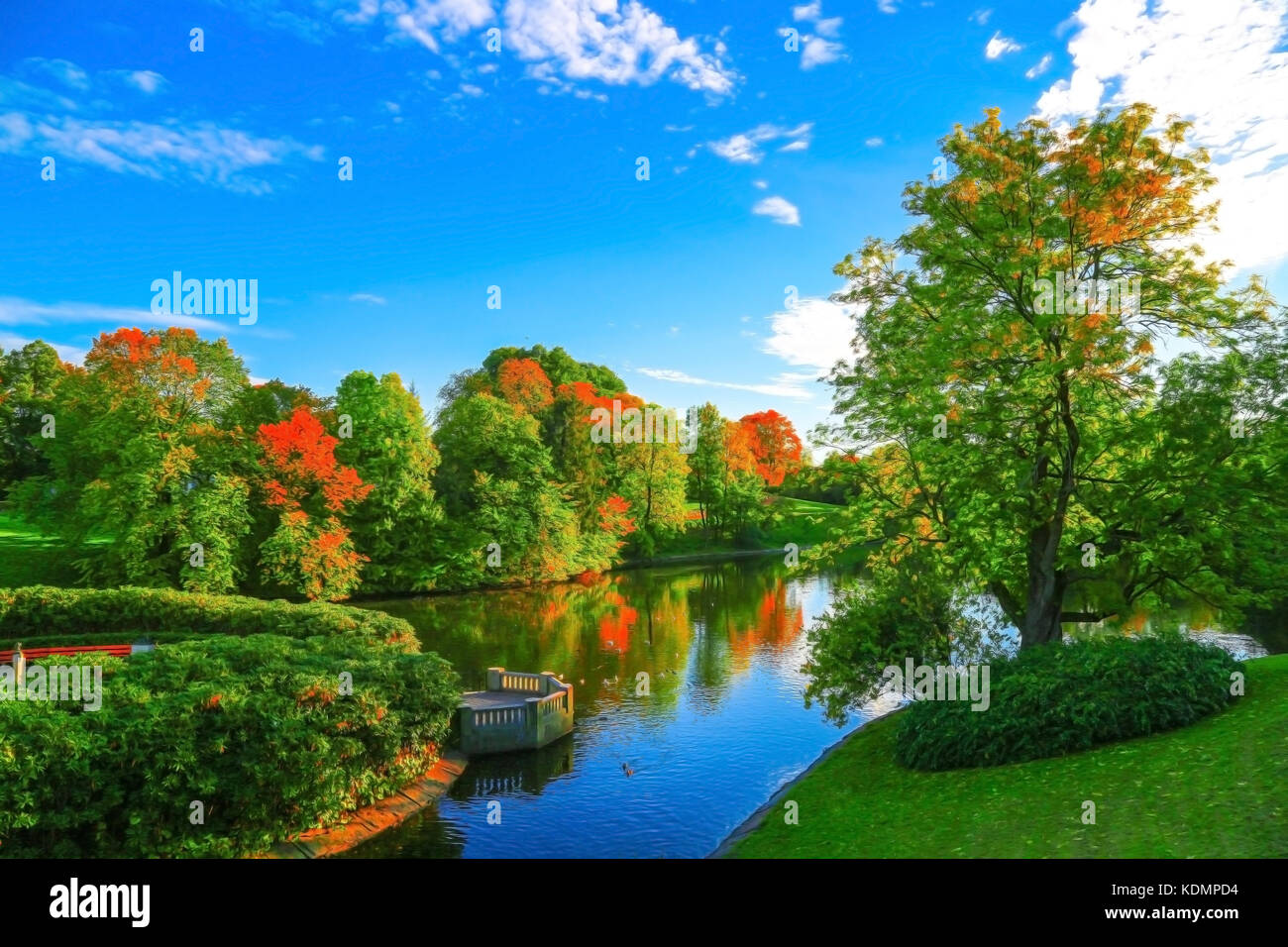 Beautiful autumn trees Stock Photo - Alamy