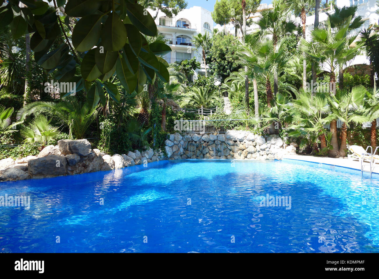 Bonsol hi-res stock photography and images - Alamy