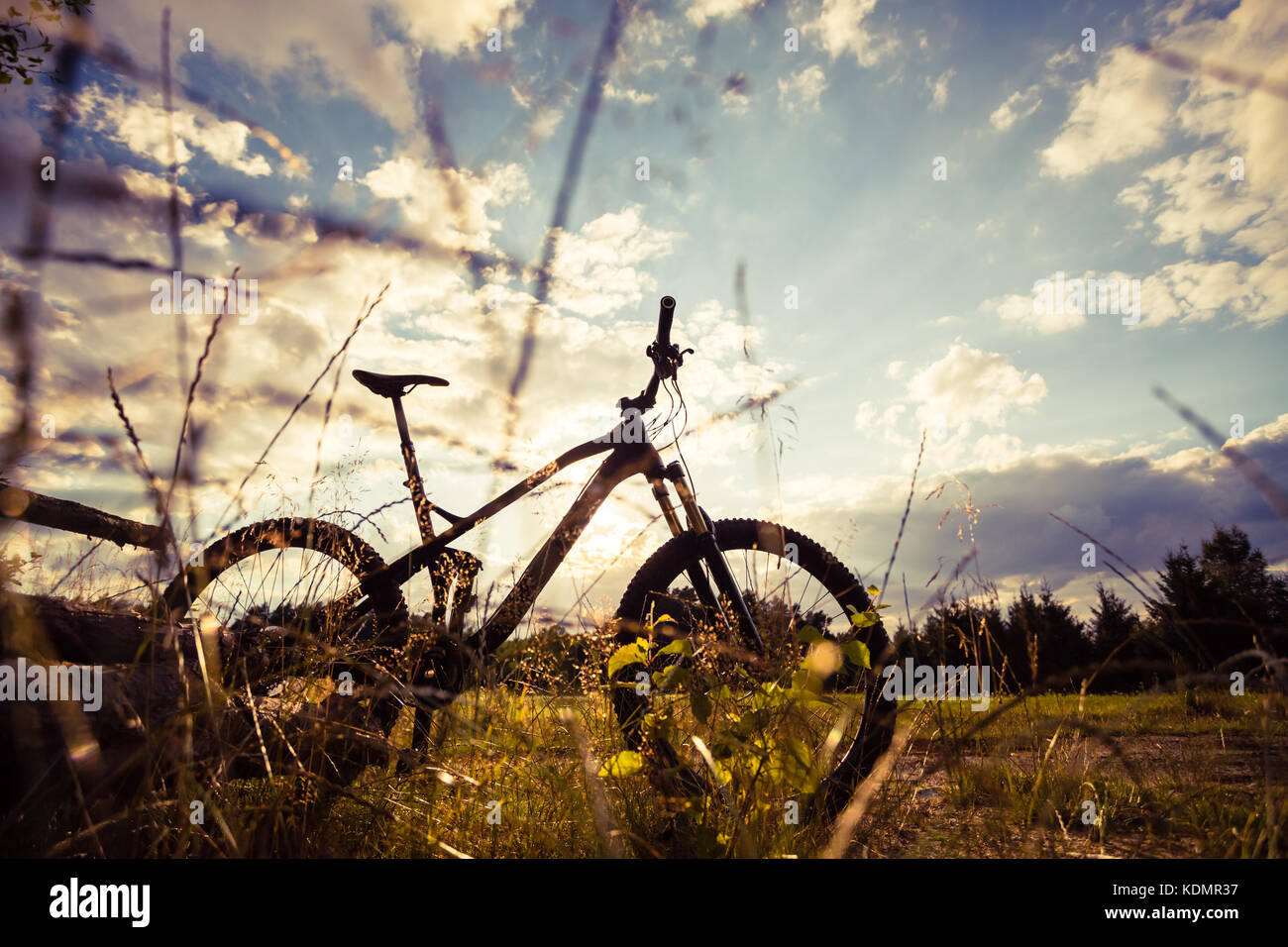 Mountain bike MTB on green summer forest trail, inspirational landscape. Cycling bike on rural country trail. Sport fitness motivation and inspiration Stock Photo